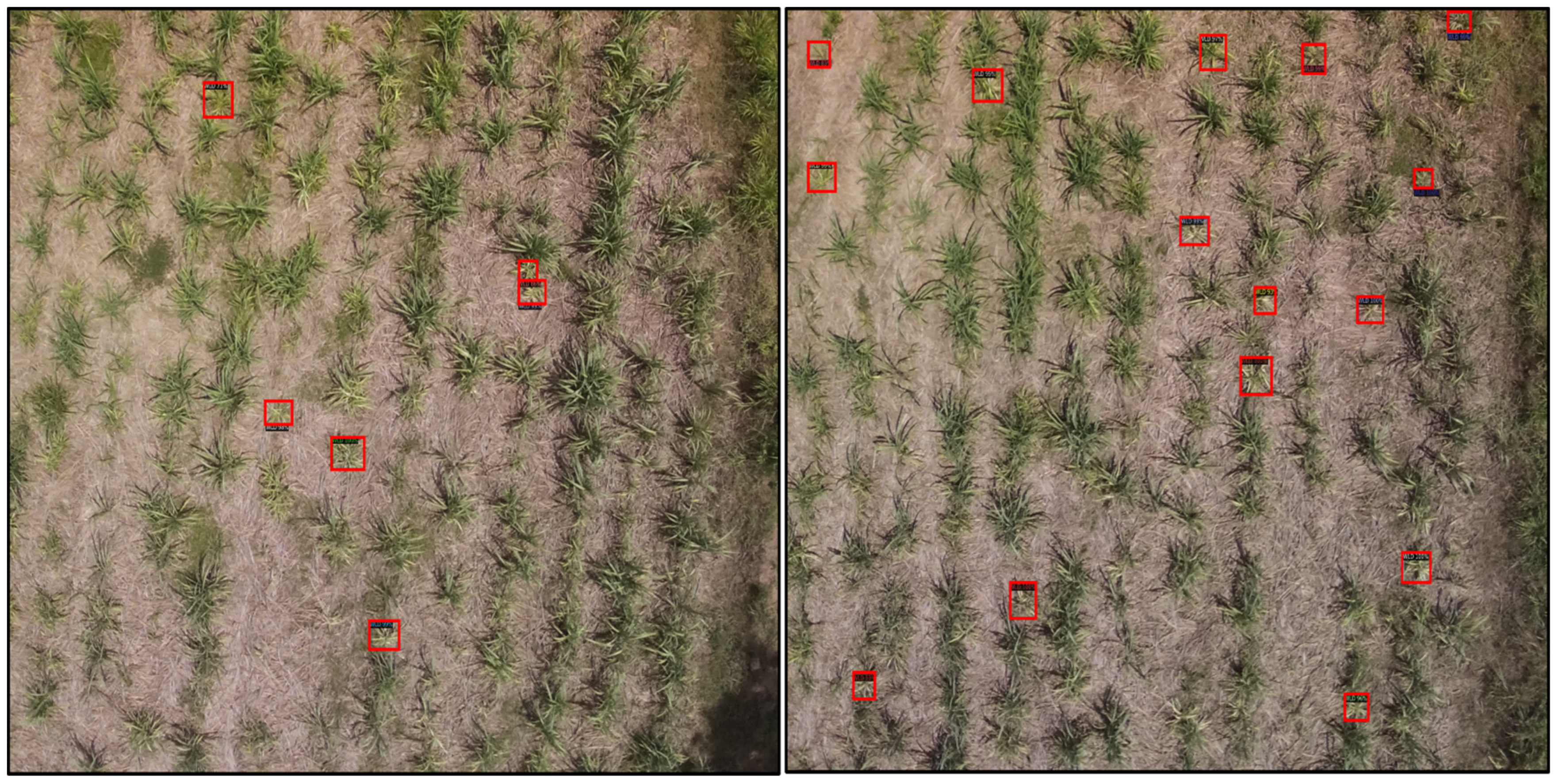 Remotesensing 14 06137 g018 Remotesensing 14 06137 g018