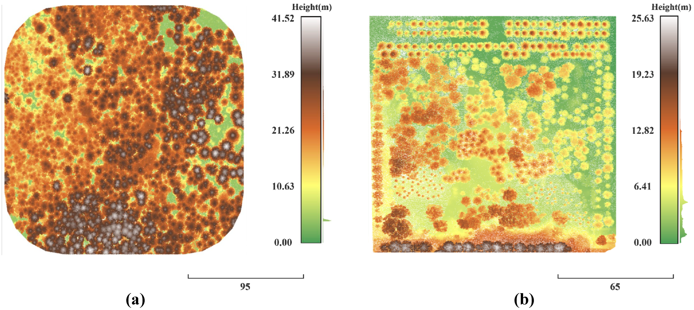 Remotesensing 14 06167 g001 Remotesensing 14 06167 g001
