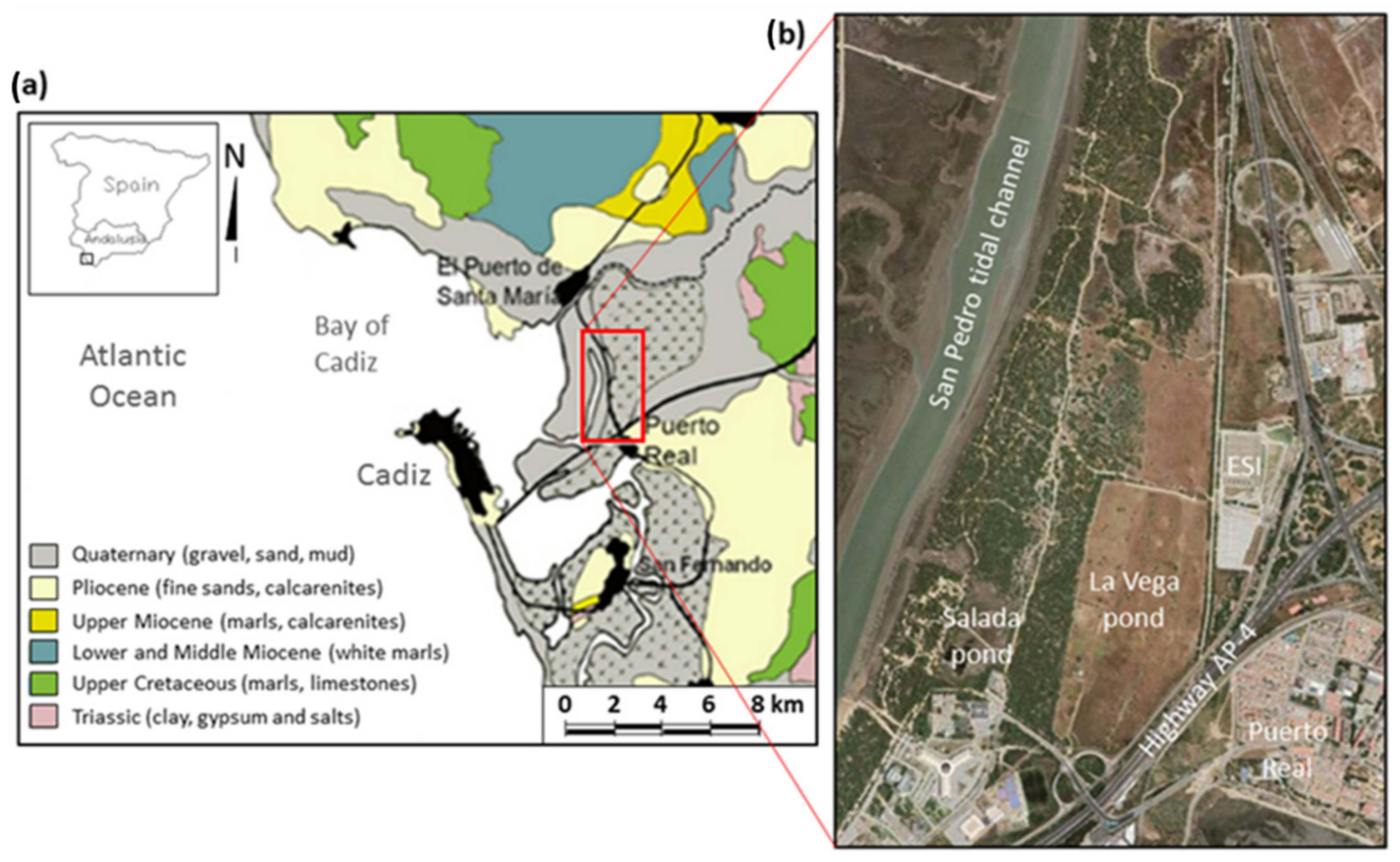 Remotesensing 14 06185 g001 Remotesensing 14 06185 g001