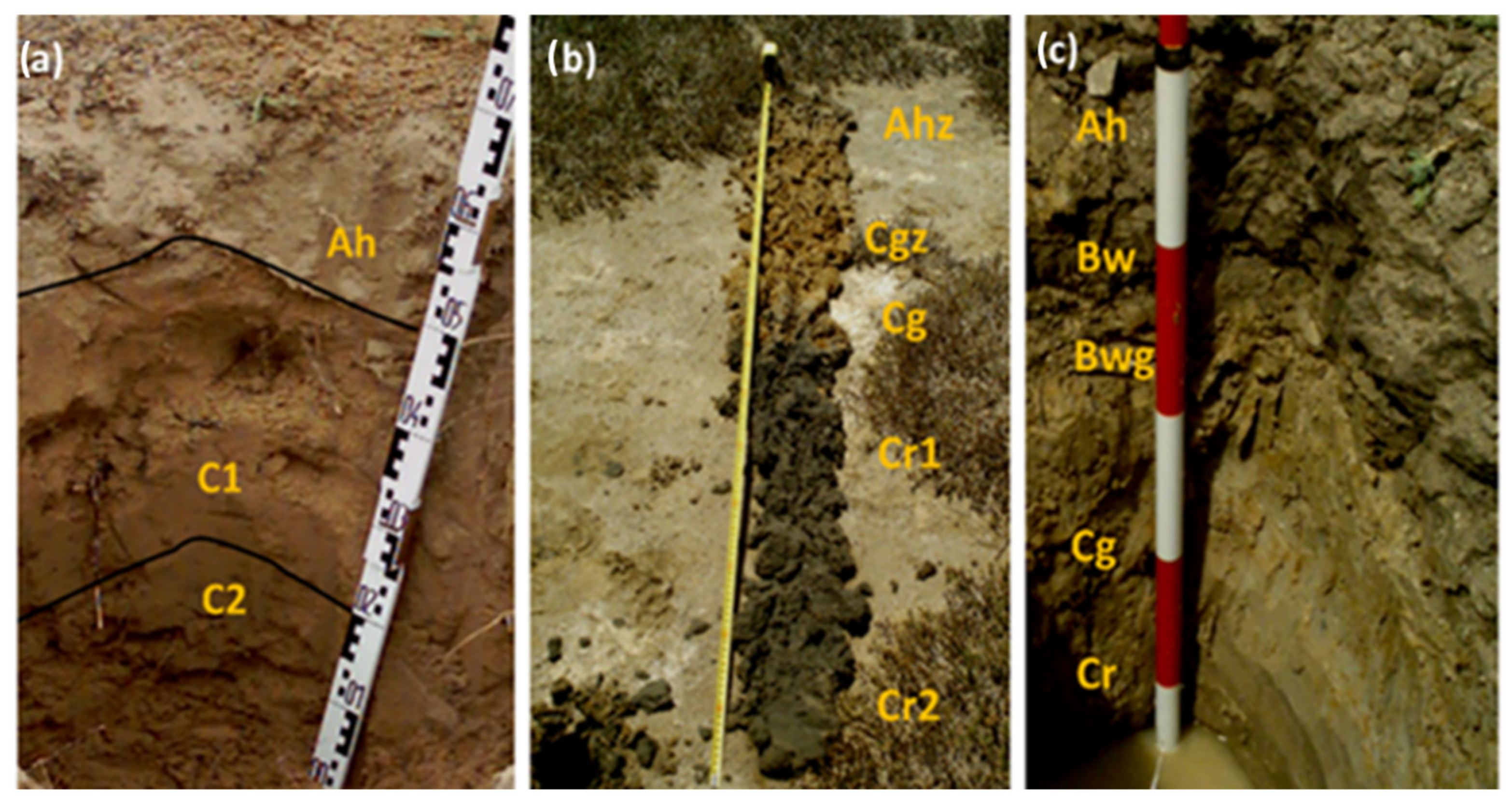 Remotesensing 14 06185 g003 Remotesensing 14 06185 g003