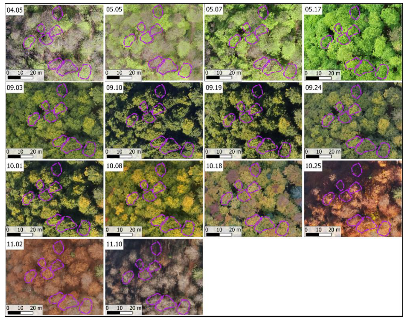 Remotesensing 14 06198 g002 Remotesensing 14 06198 g002