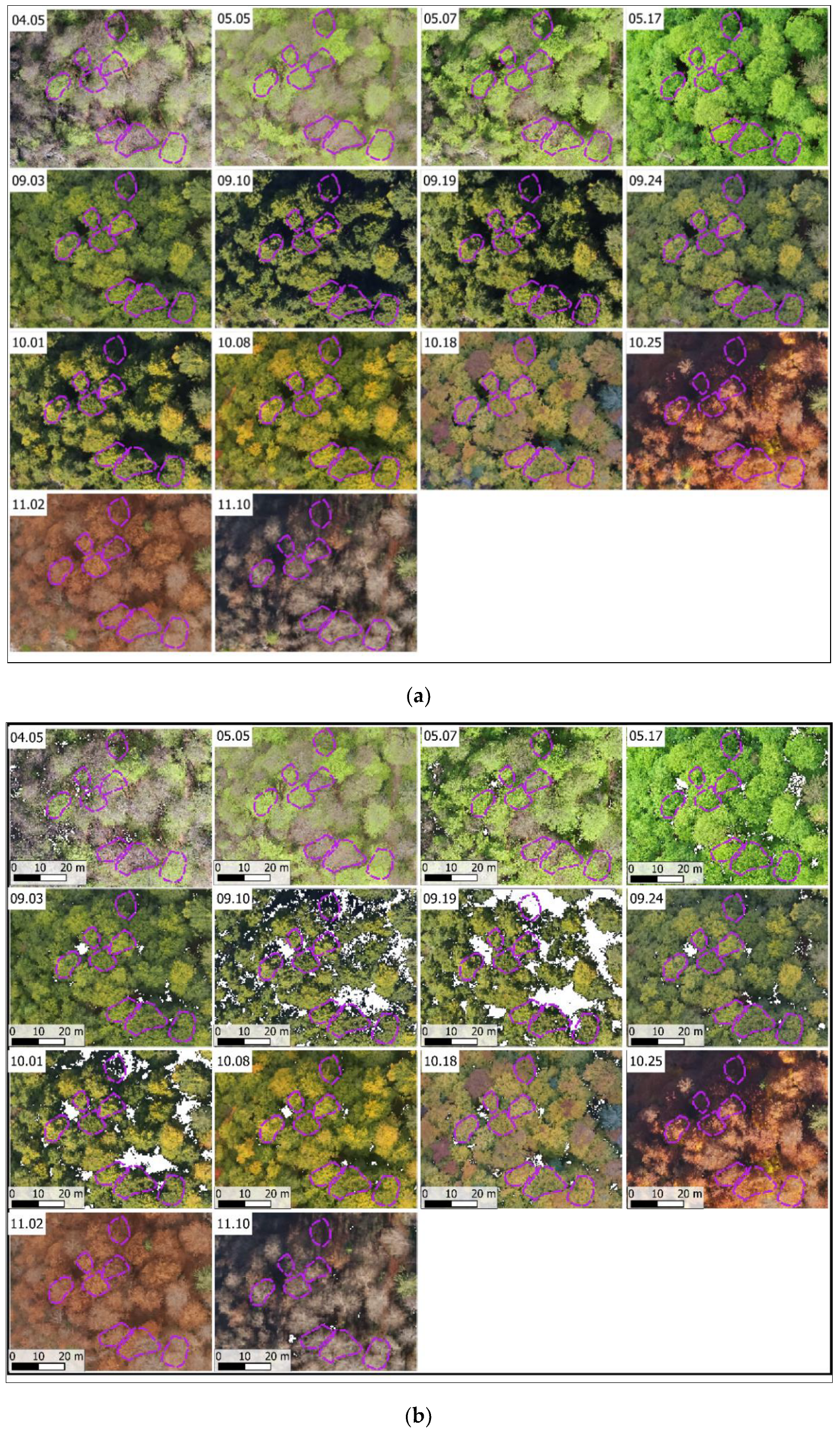 Remotesensing 14 06198 g0a2 Remotesensing 14 06198 g0a2