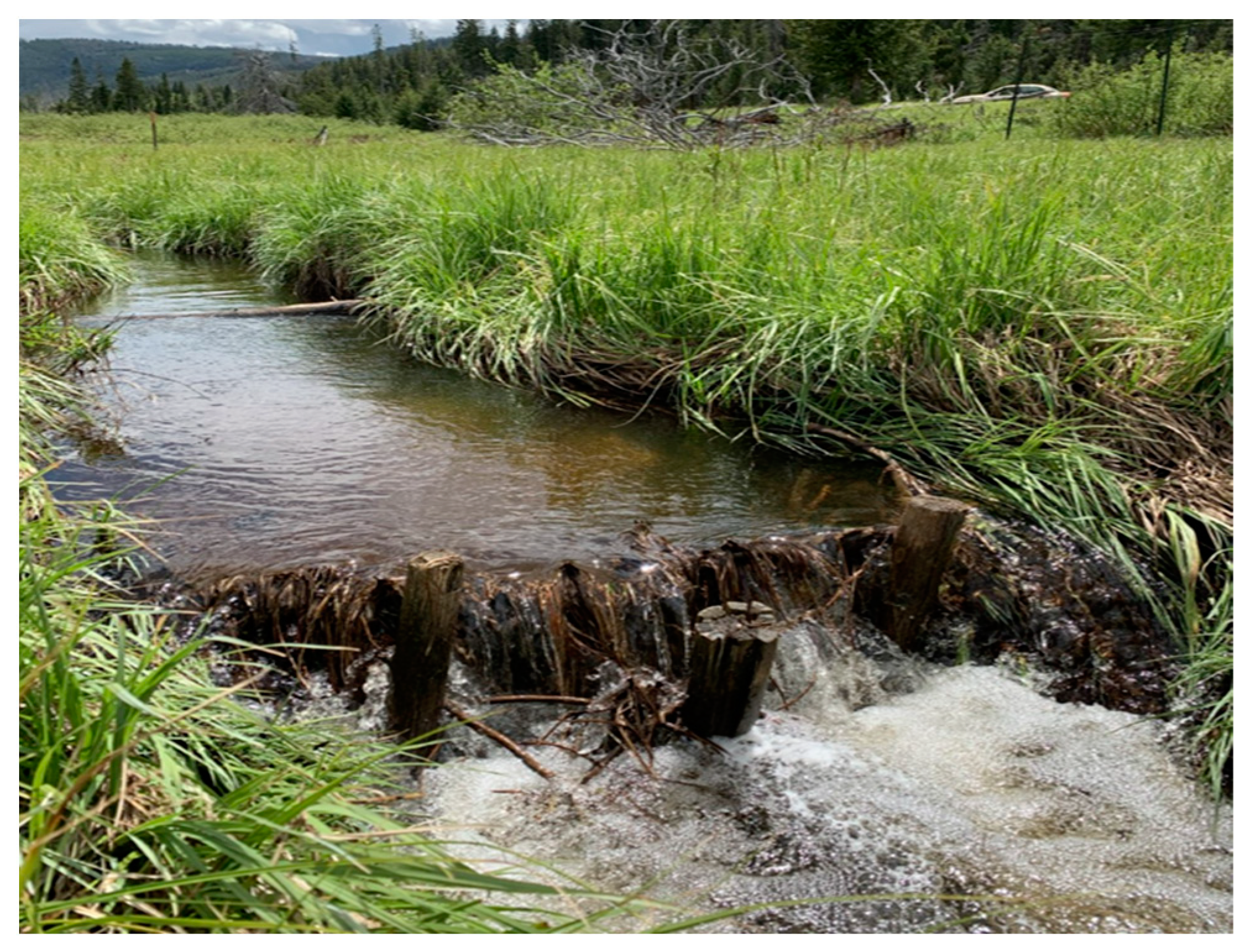 Remotesensing 14 06199 g002