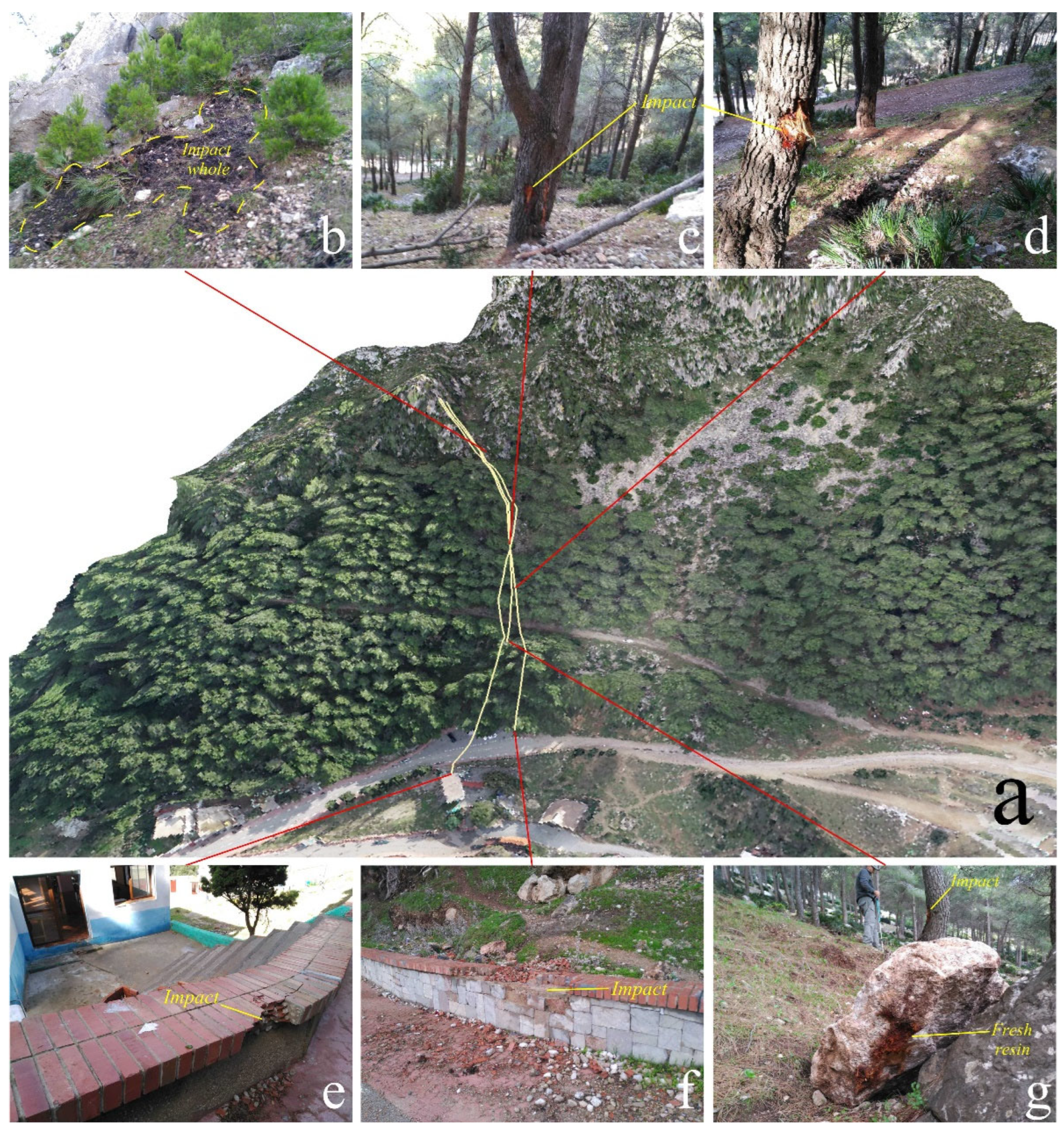 Remotesensing 14 06205 g006 Remotesensing 14 06205 g006