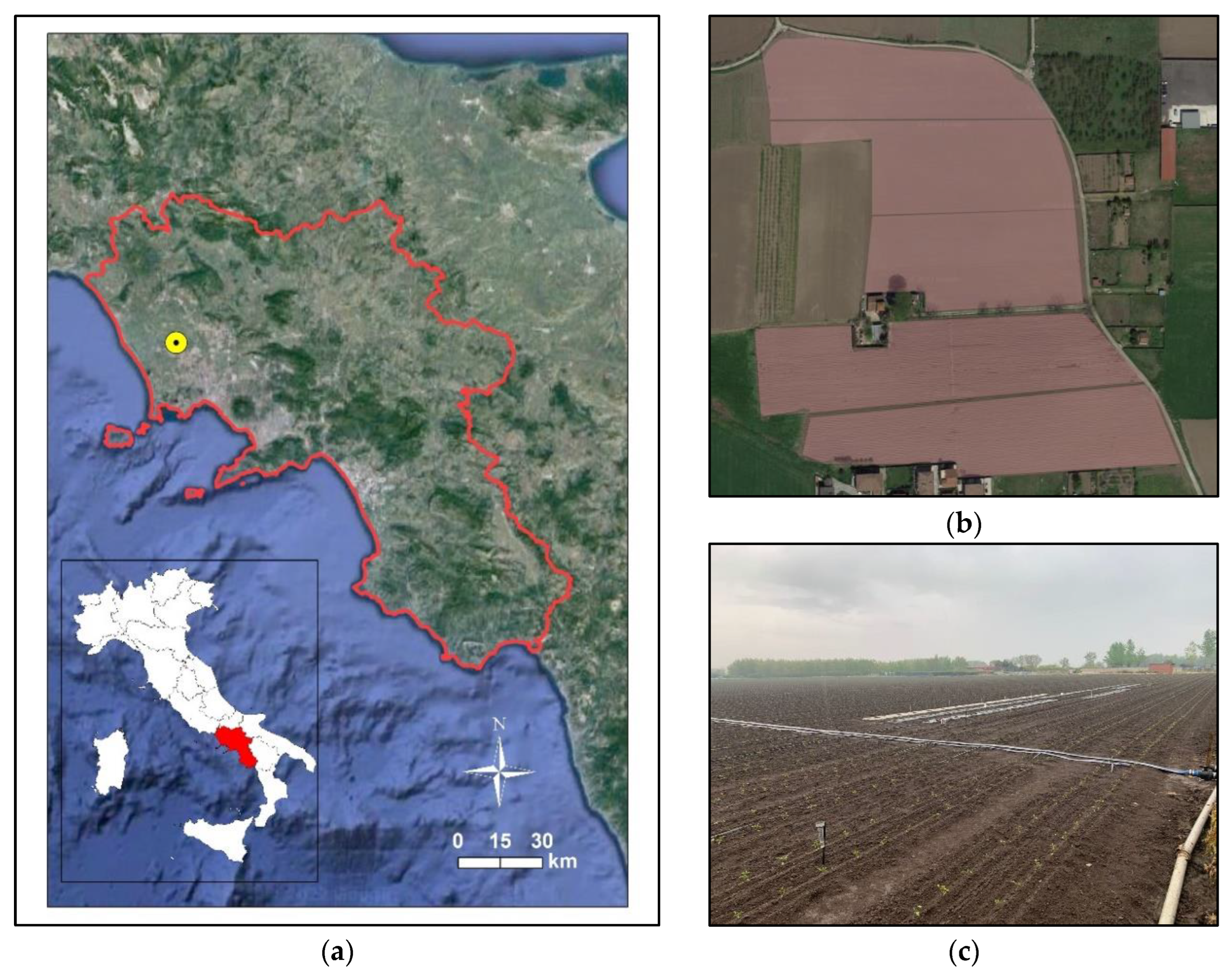 Remotesensing 14 06233 g001