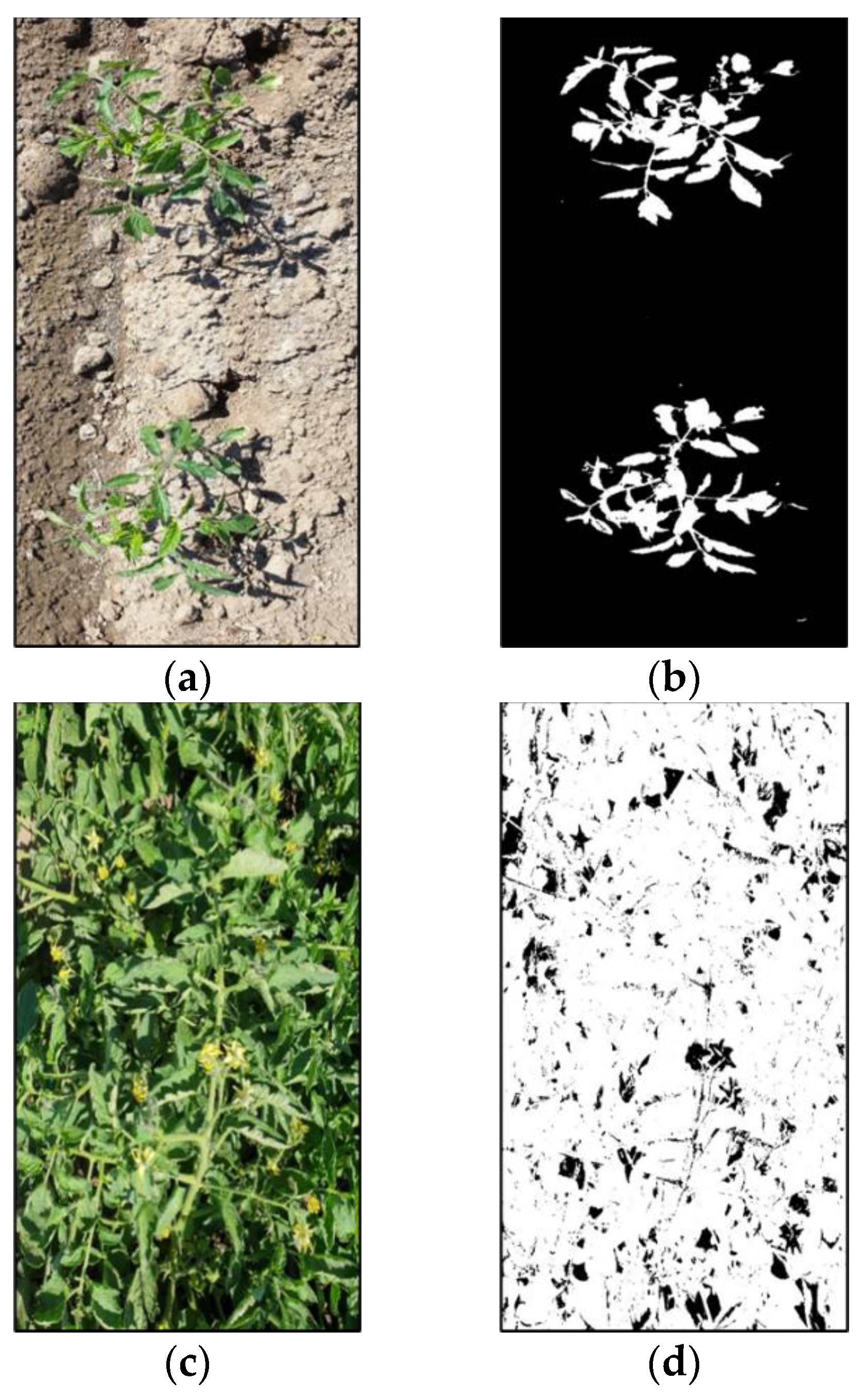 Remotesensing 14 06233 g003