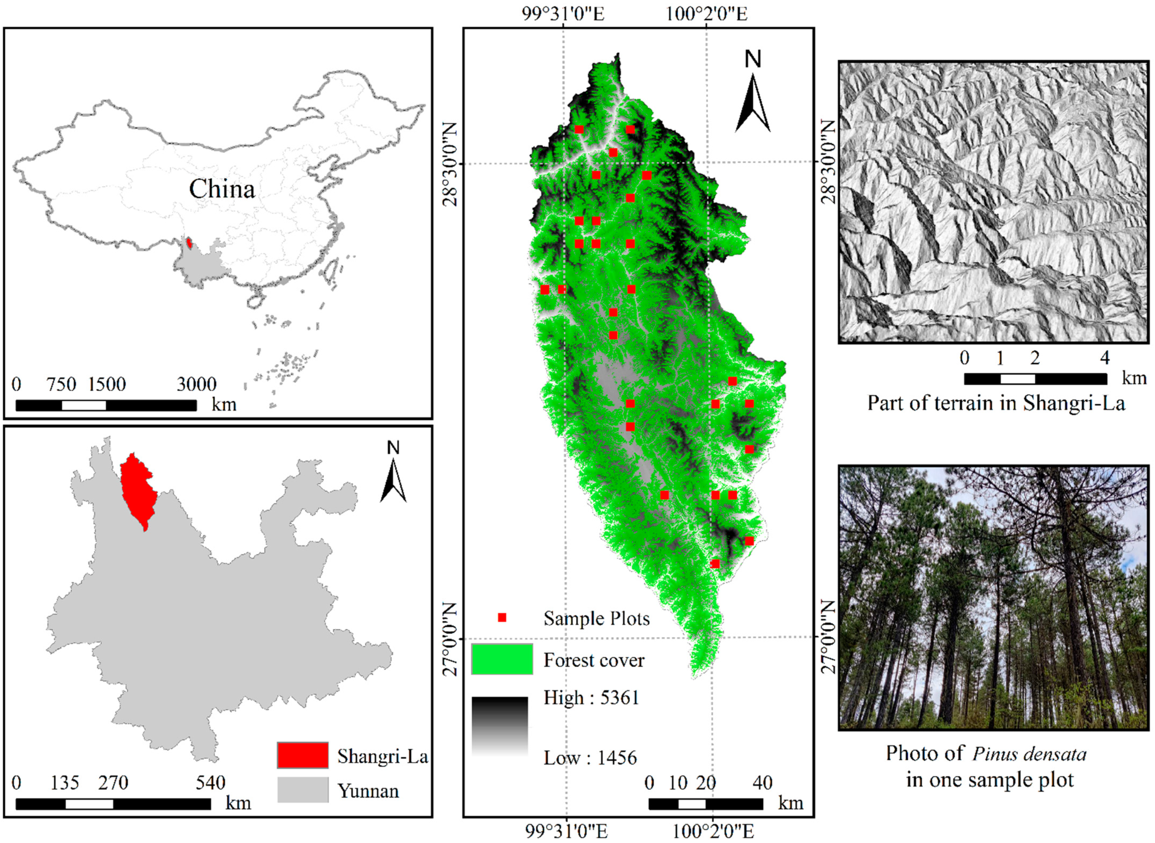 Remotesensing 14 06244 g001 Remotesensing 14 06244 g001