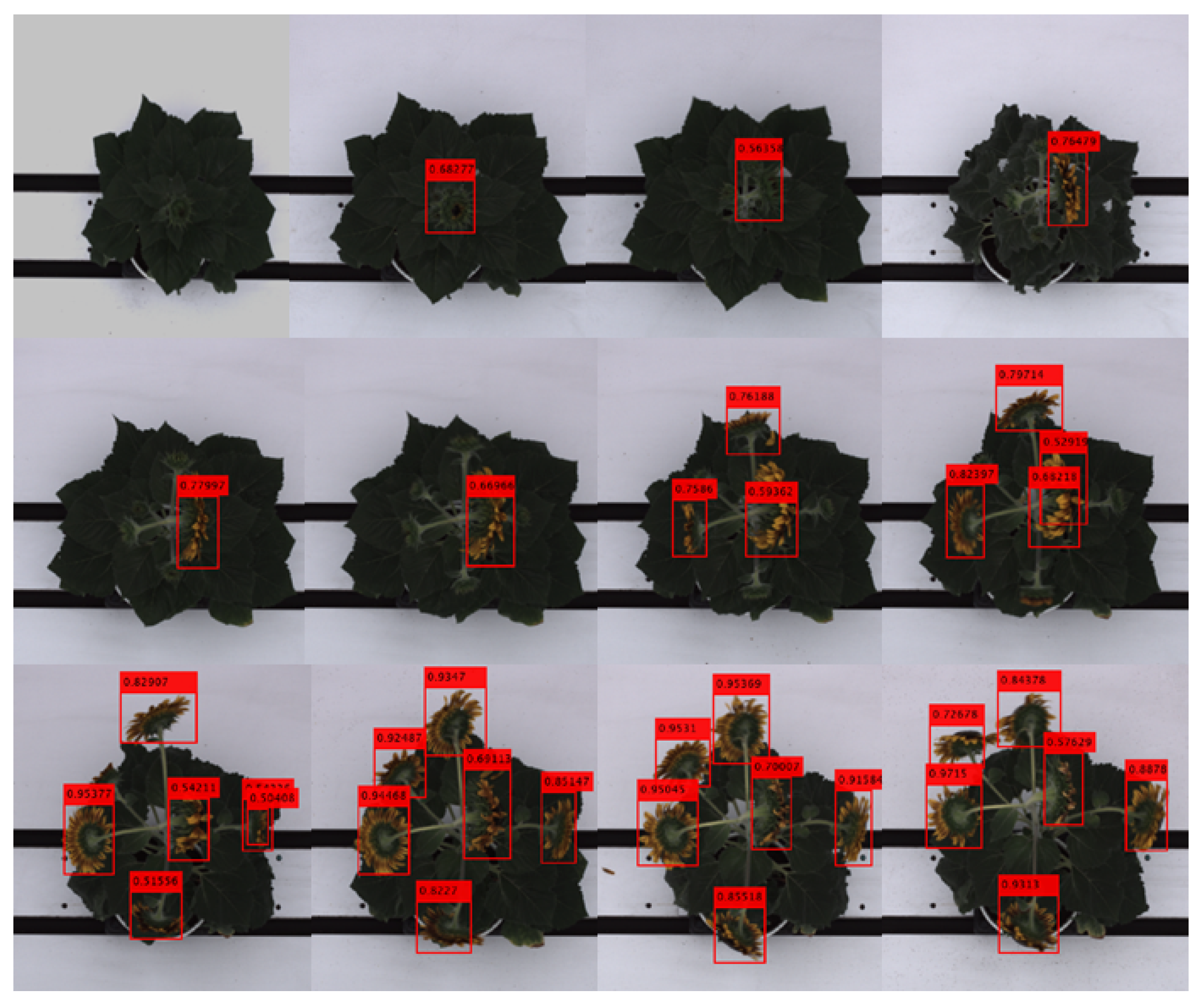 Remotesensing 14 06252 g007