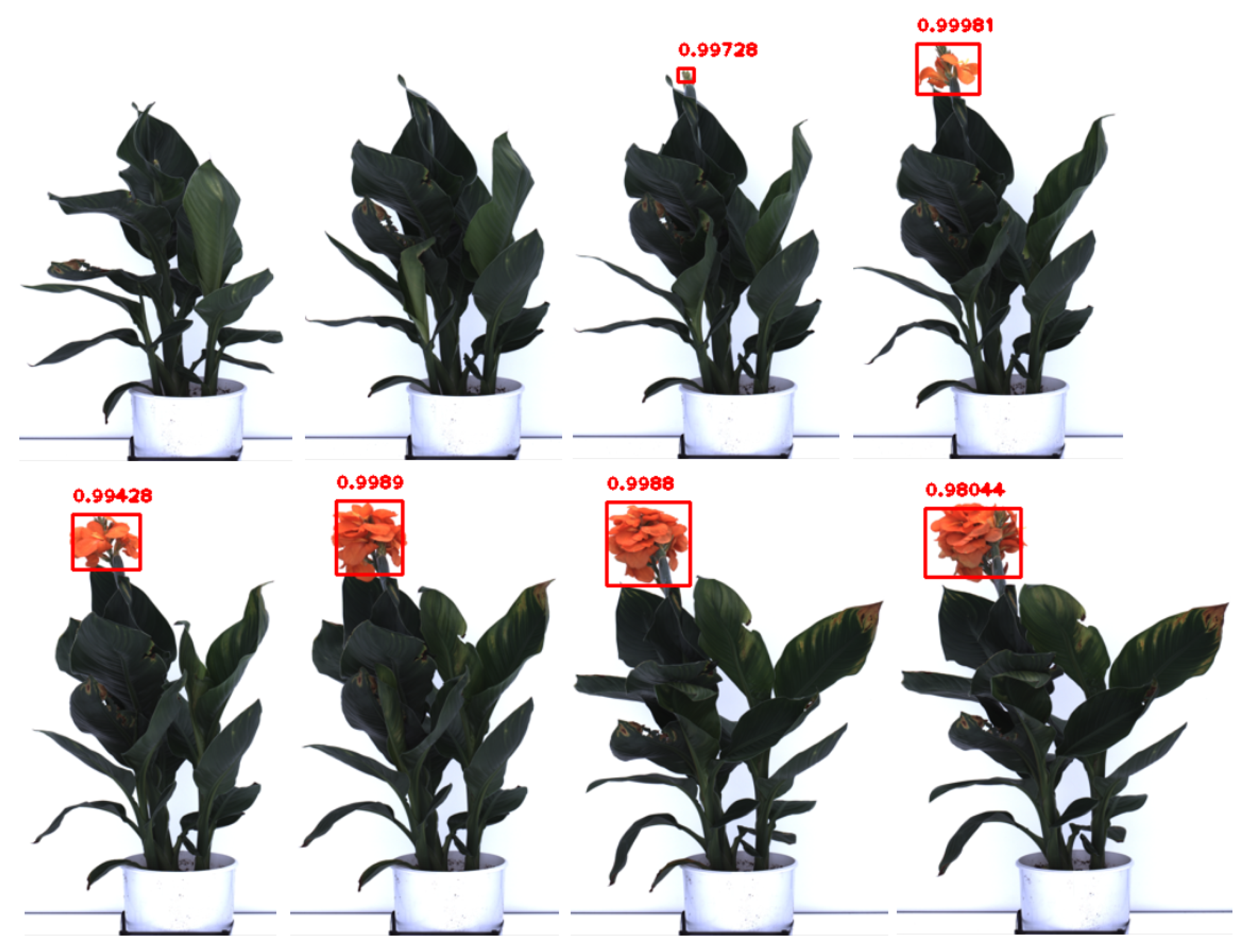 Remotesensing 14 06252 g012