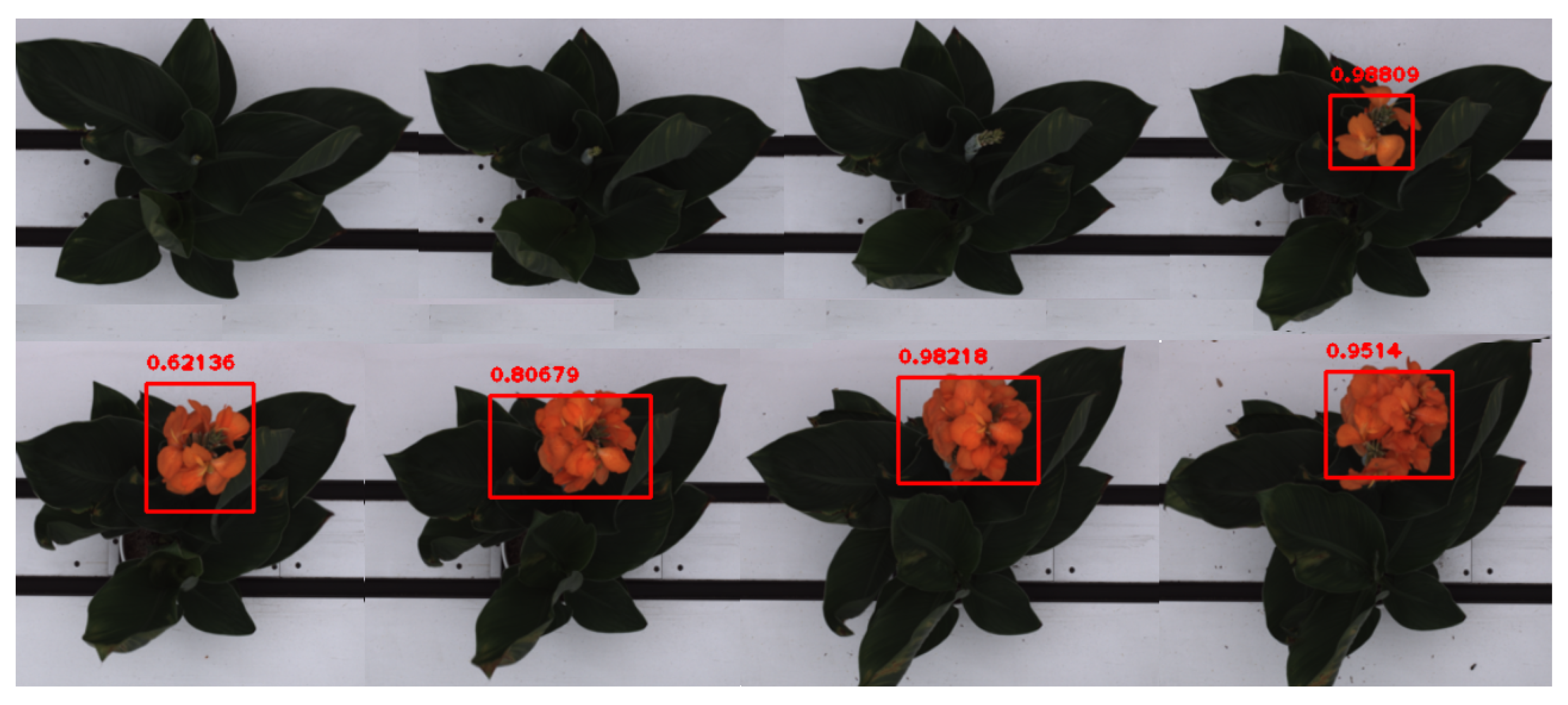 Remotesensing 14 06252 g013