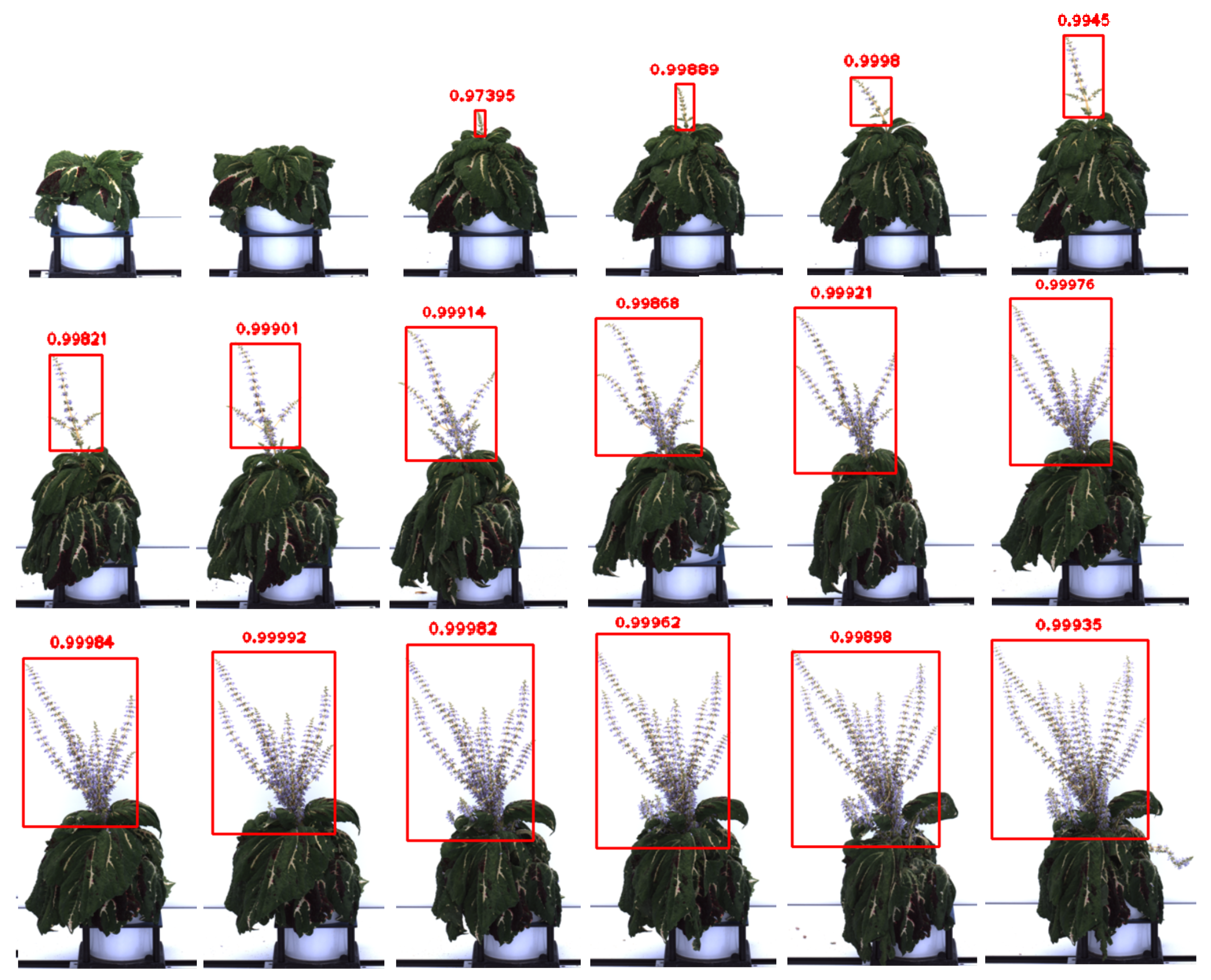 Remotesensing 14 06252 g014