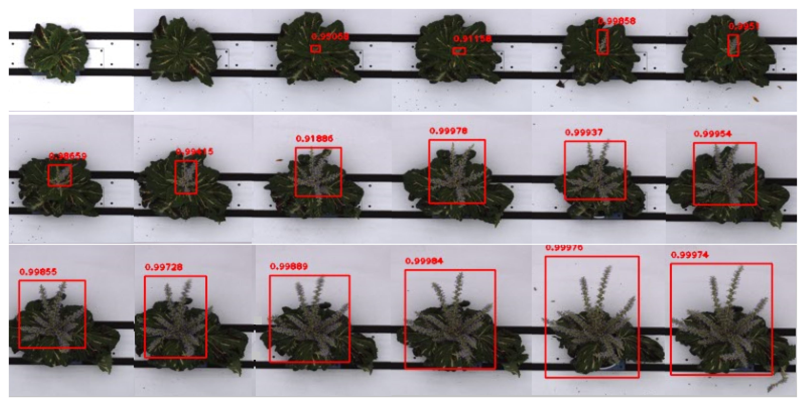 Remotesensing 14 06252 g015