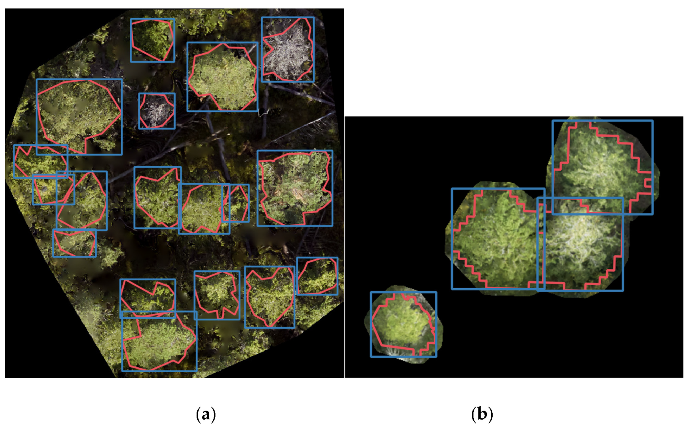 Remotesensing 14 06257 g003