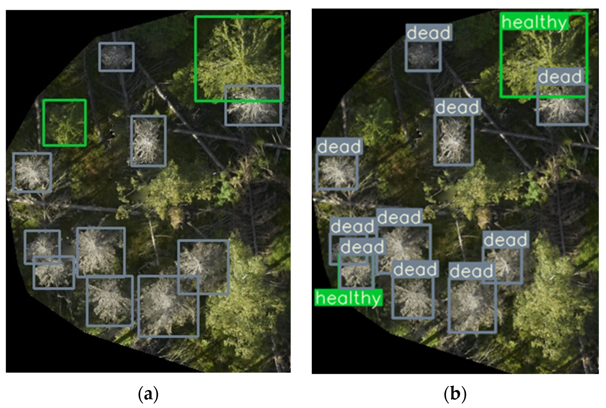 Remotesensing 14 06257 g006