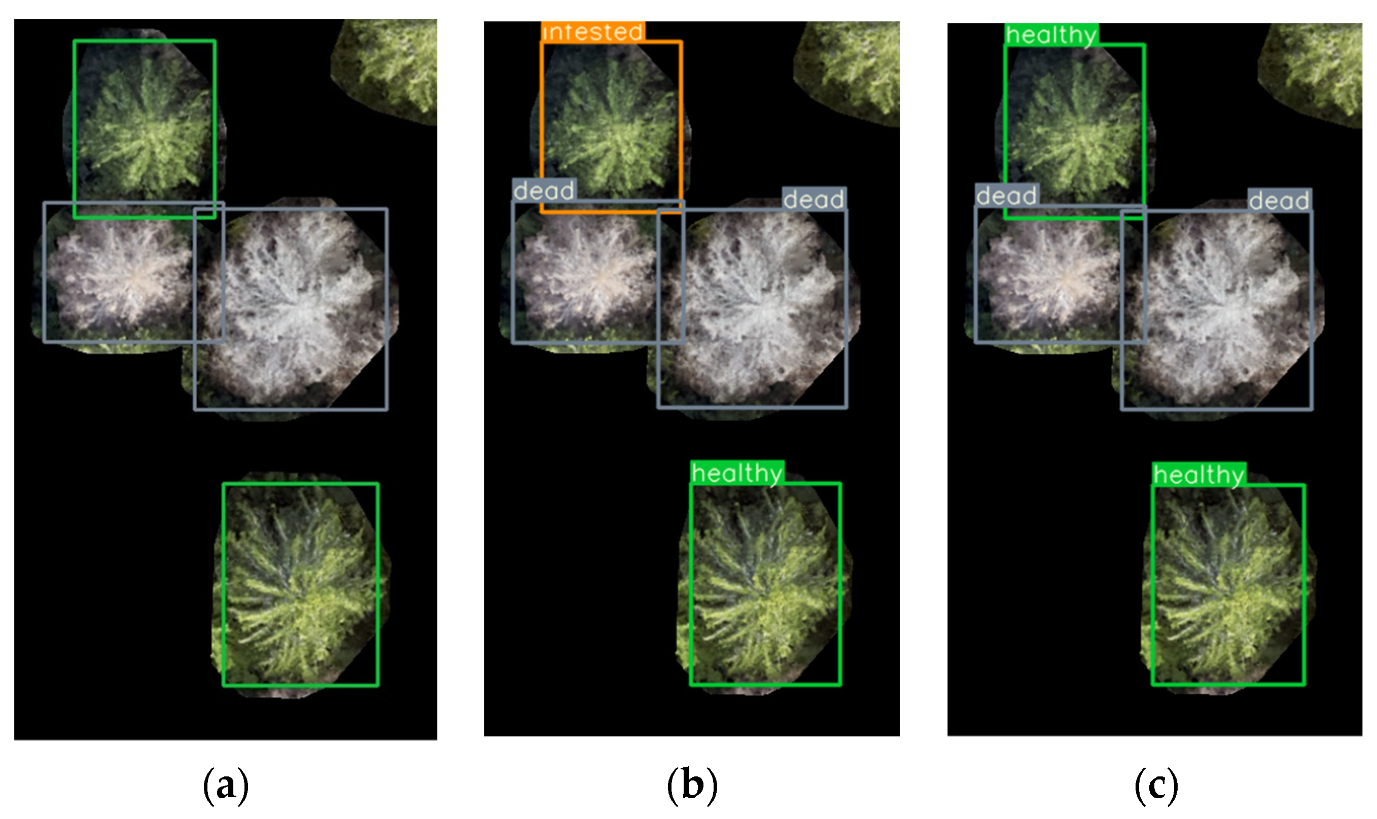 Remotesensing 14 06257 g007
