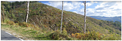 Remotesensing 14 06266 i001 Remotesensing 14 06266 i001