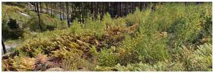 Remotesensing 14 06266 i003 Remotesensing 14 06266 i003