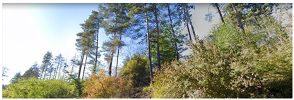 Remotesensing 14 06266 i007 Remotesensing 14 06266 i007