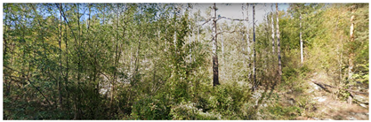 Remotesensing 14 06266 i008 Remotesensing 14 06266 i008