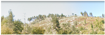 Remotesensing 14 06266 i009 Remotesensing 14 06266 i009