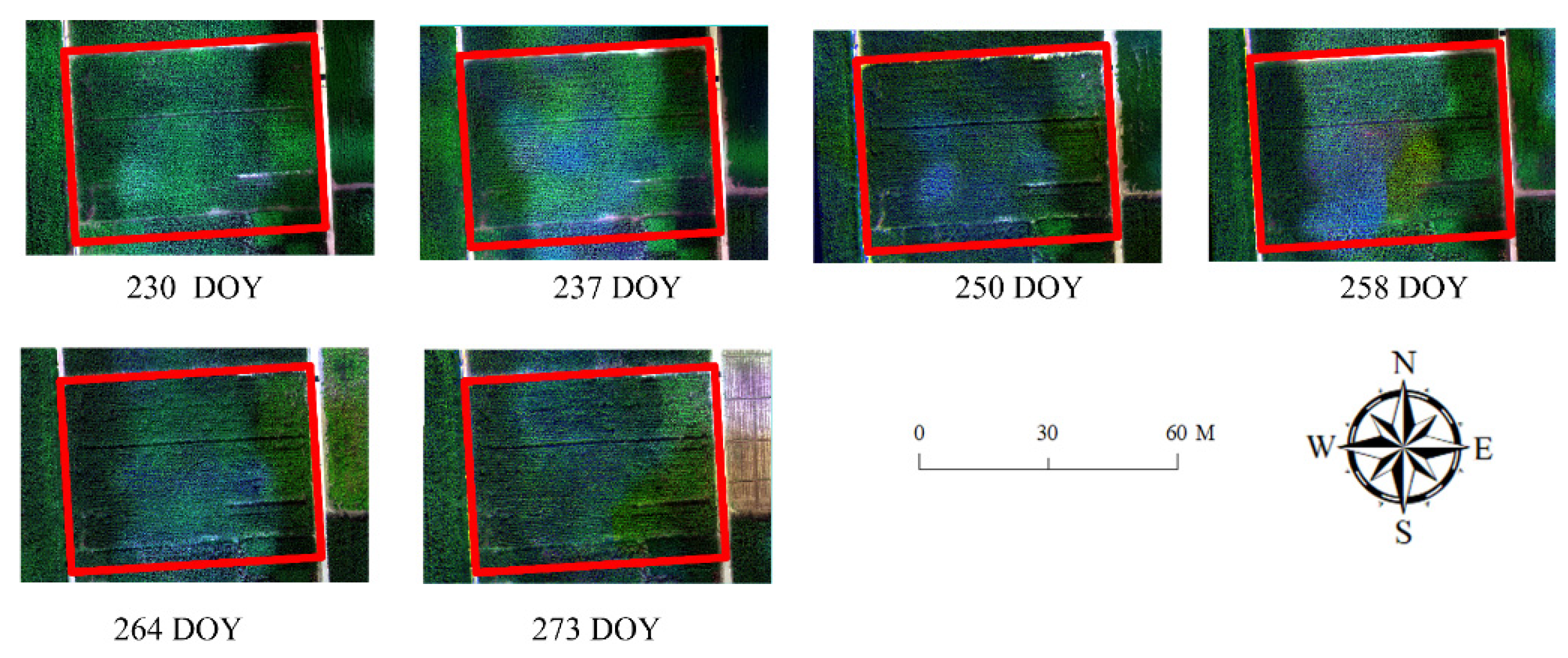 Remotesensing 14 06290 g0a2