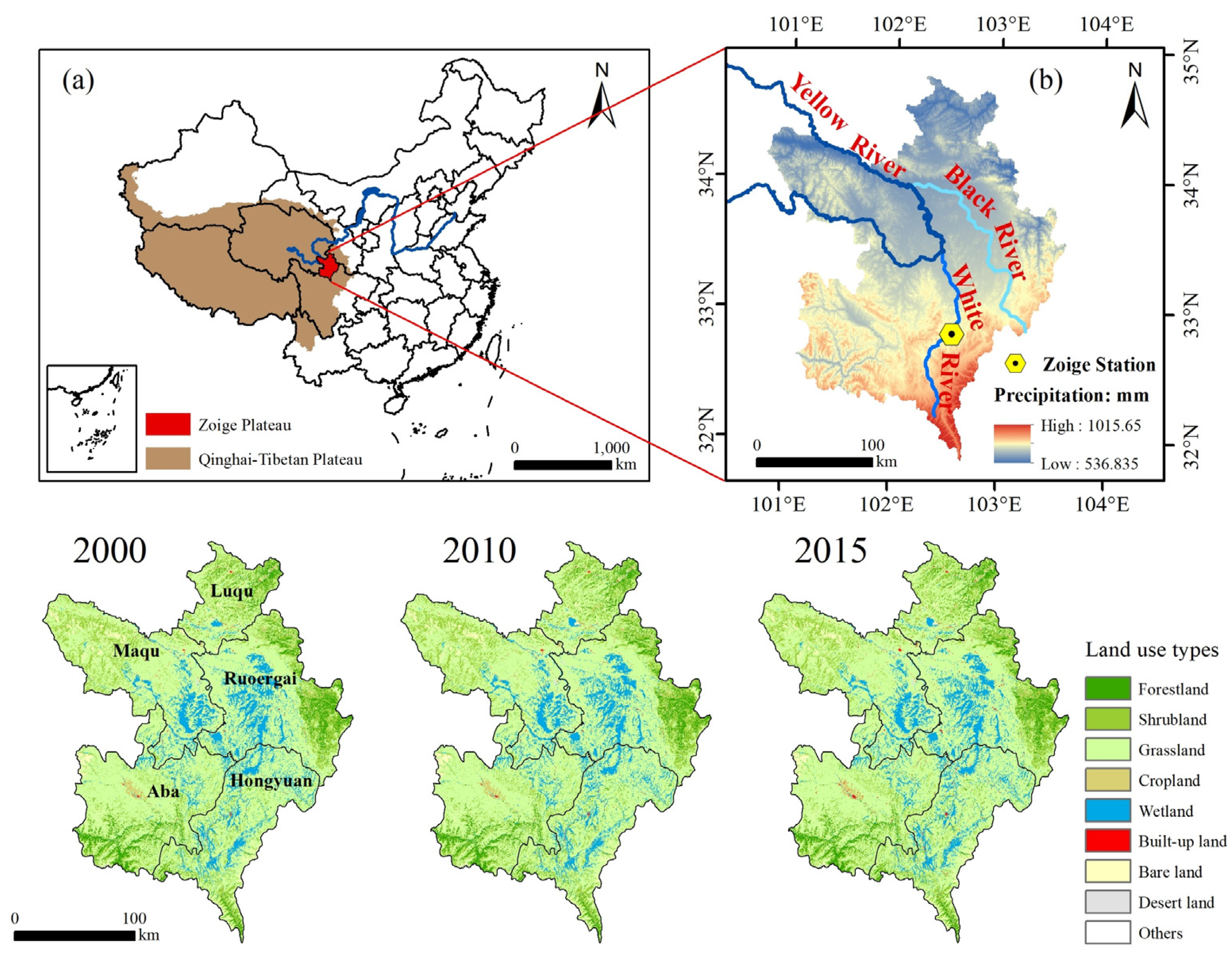 テスト Sox2 induces glioblastoma cell stemness and tumor