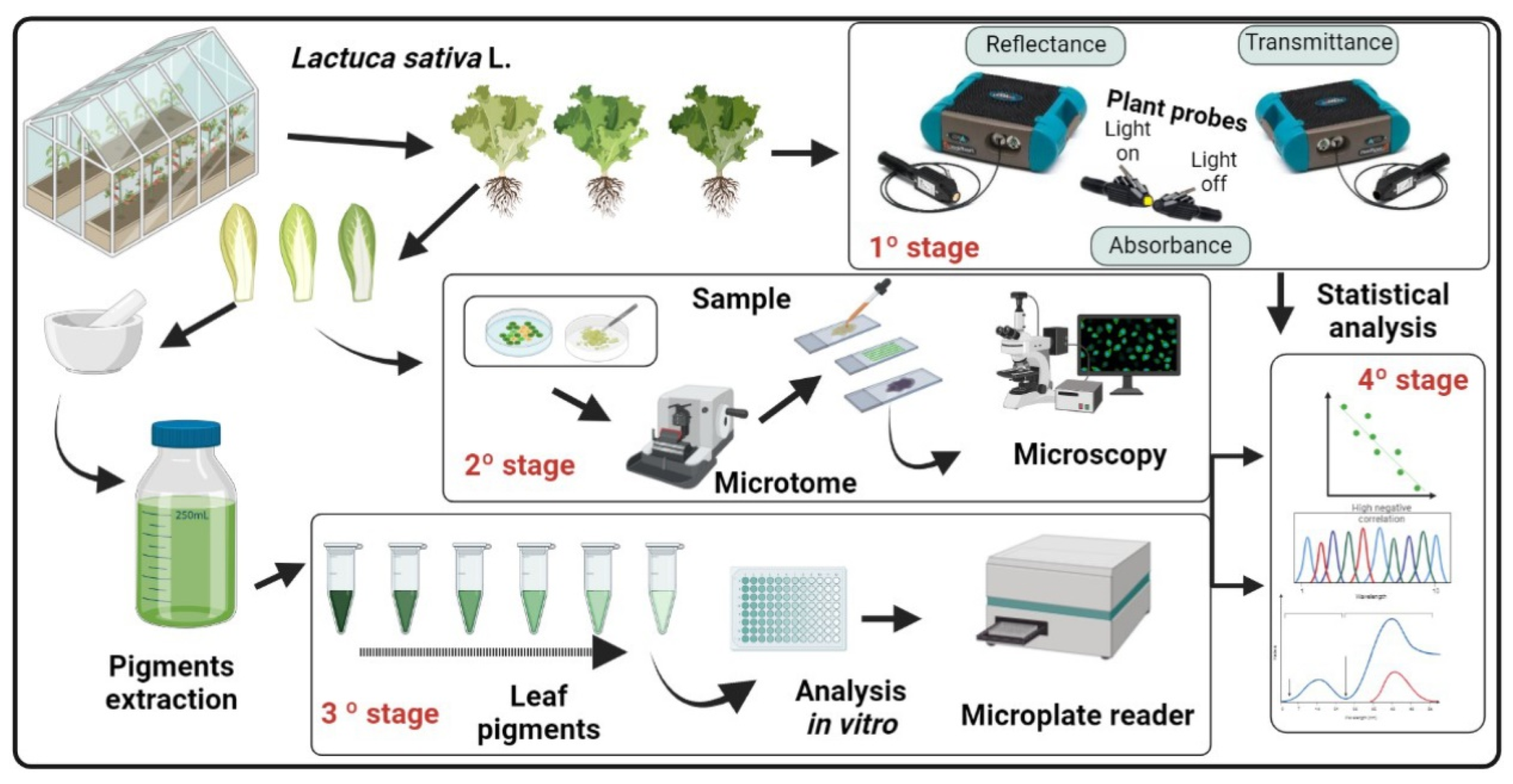 Remotesensing 14 06330 g001 Remotesensing 14 06330 g001