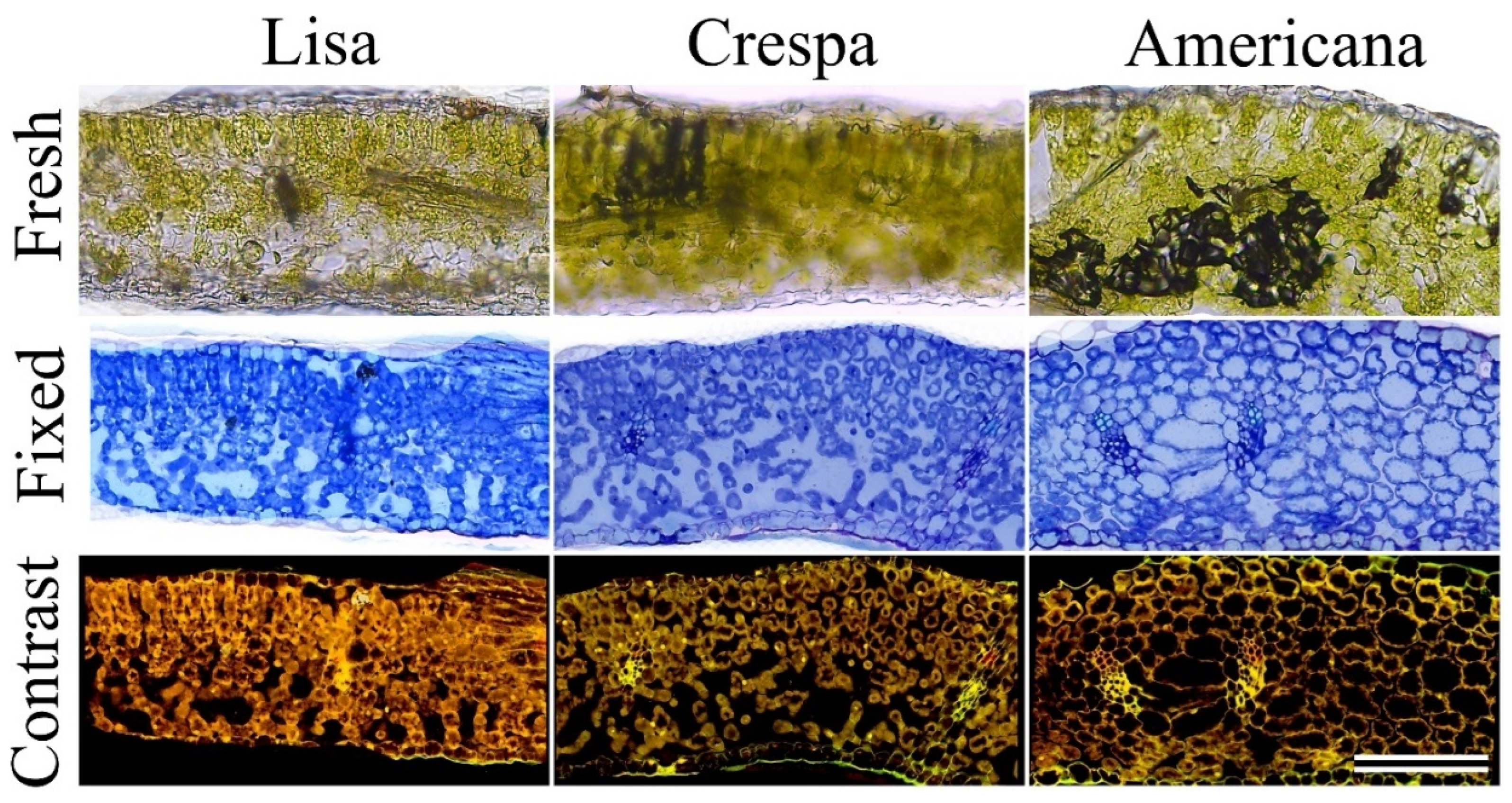 Remotesensing 14 06330 g003 Remotesensing 14 06330 g003