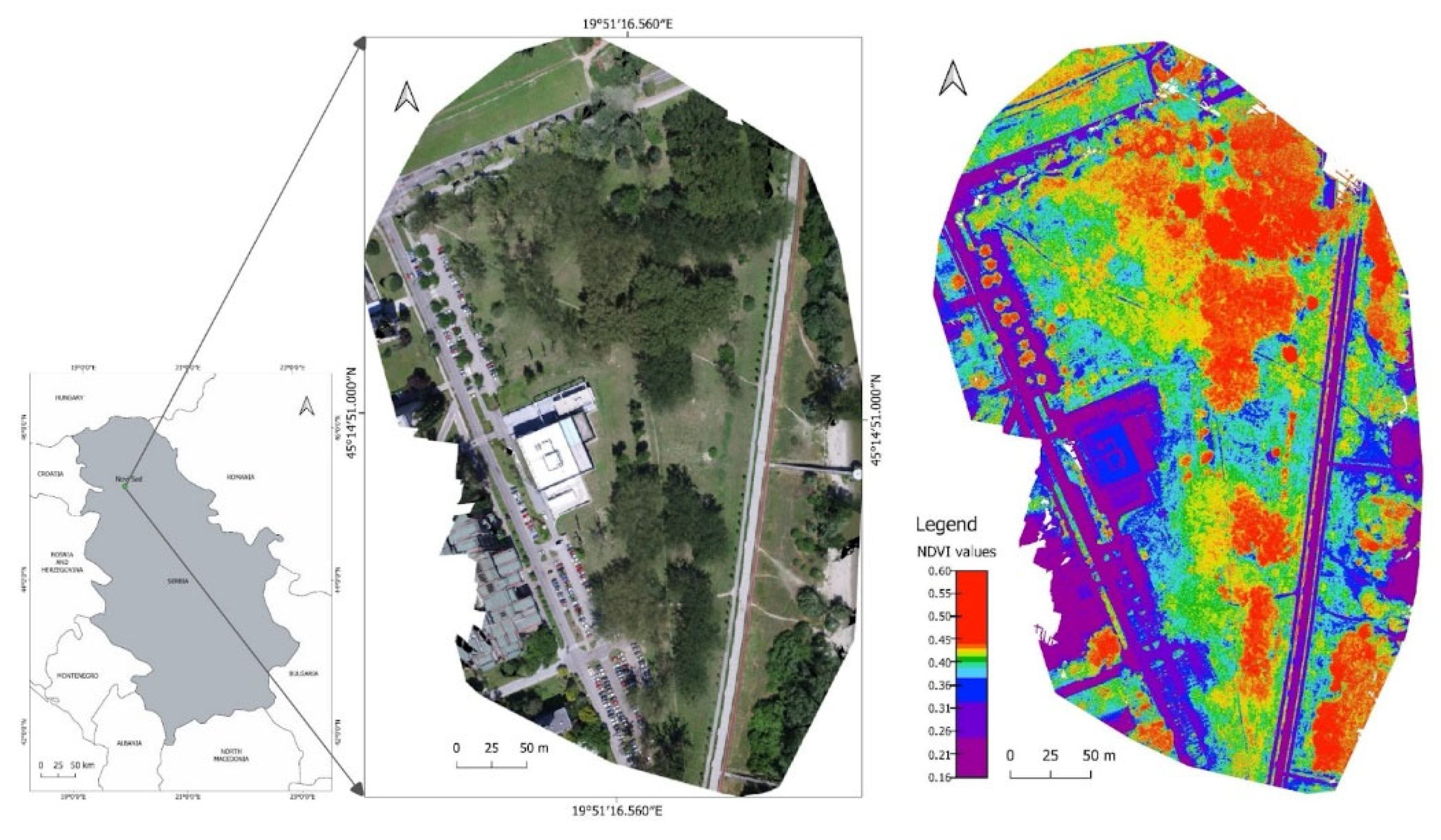 Remotesensing 14 06331 g001 Remotesensing 14 06331 g001