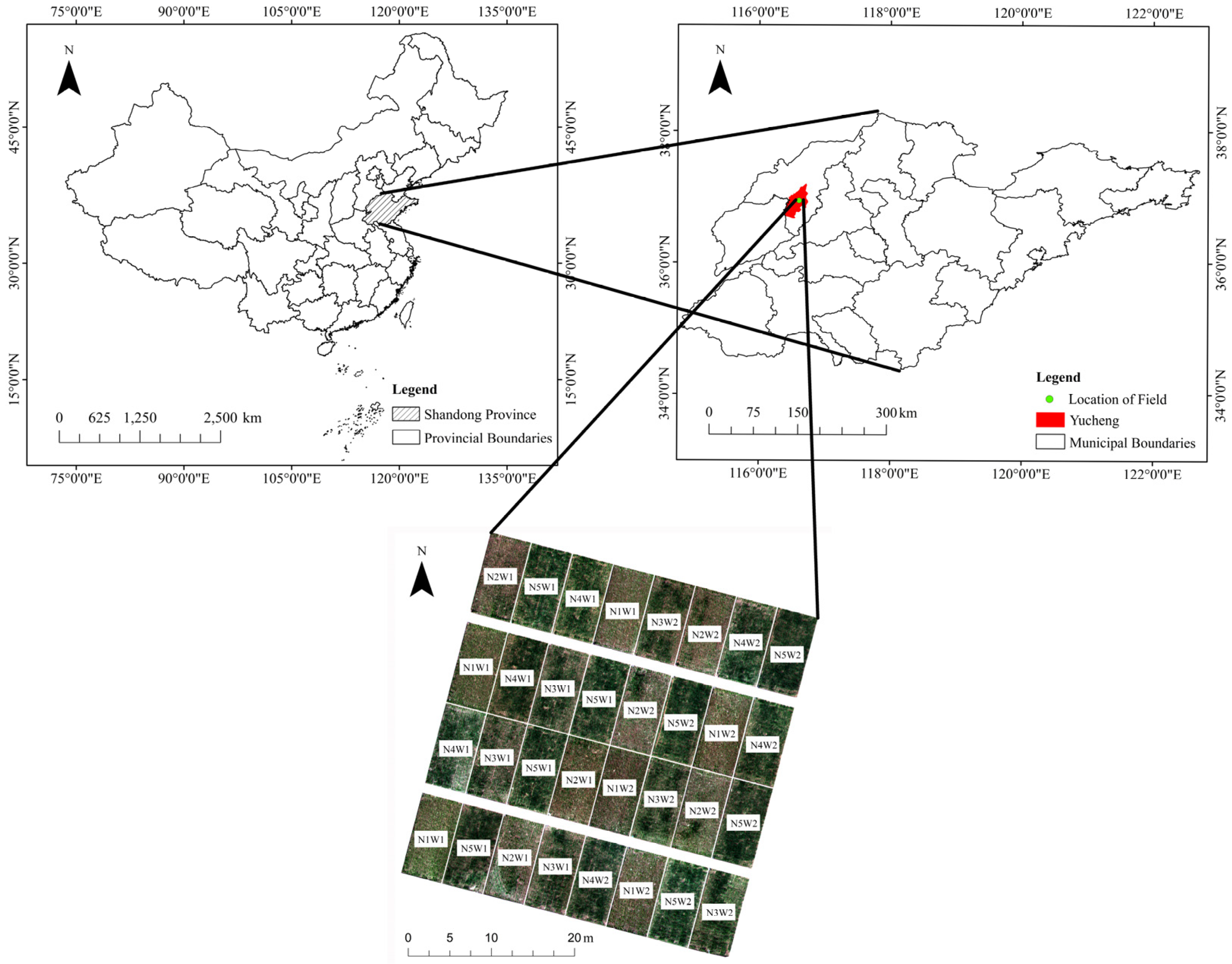 Remotesensing 14 06334 g001