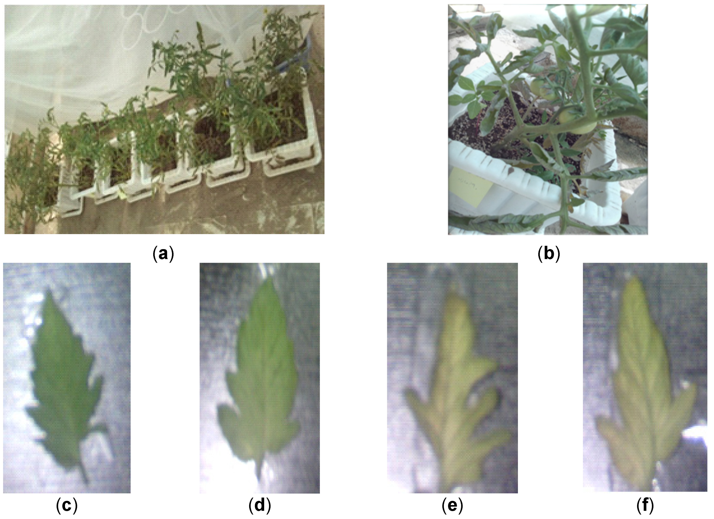 Remotesensing 14 06366 g002