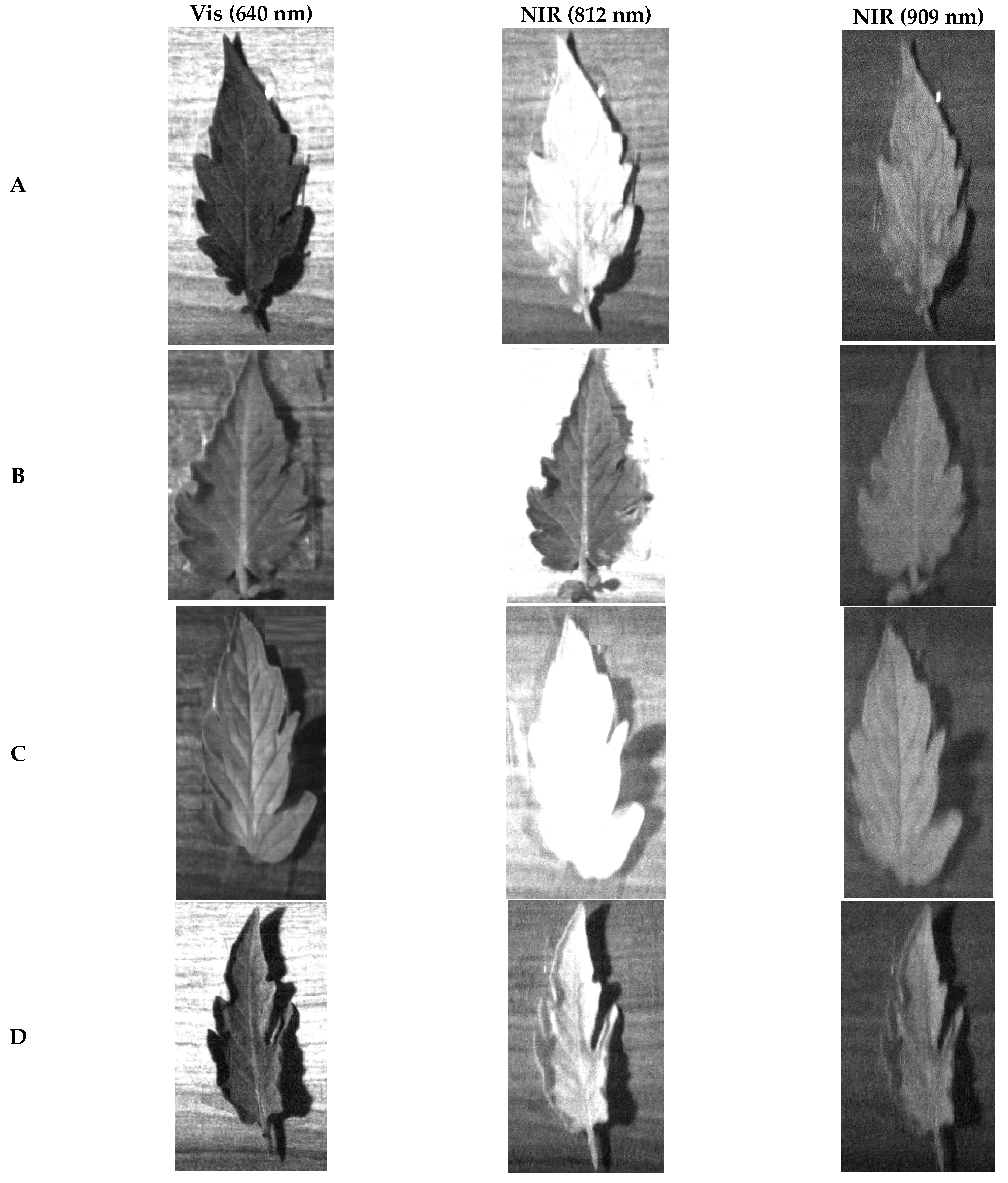 Remotesensing 14 06366 g003