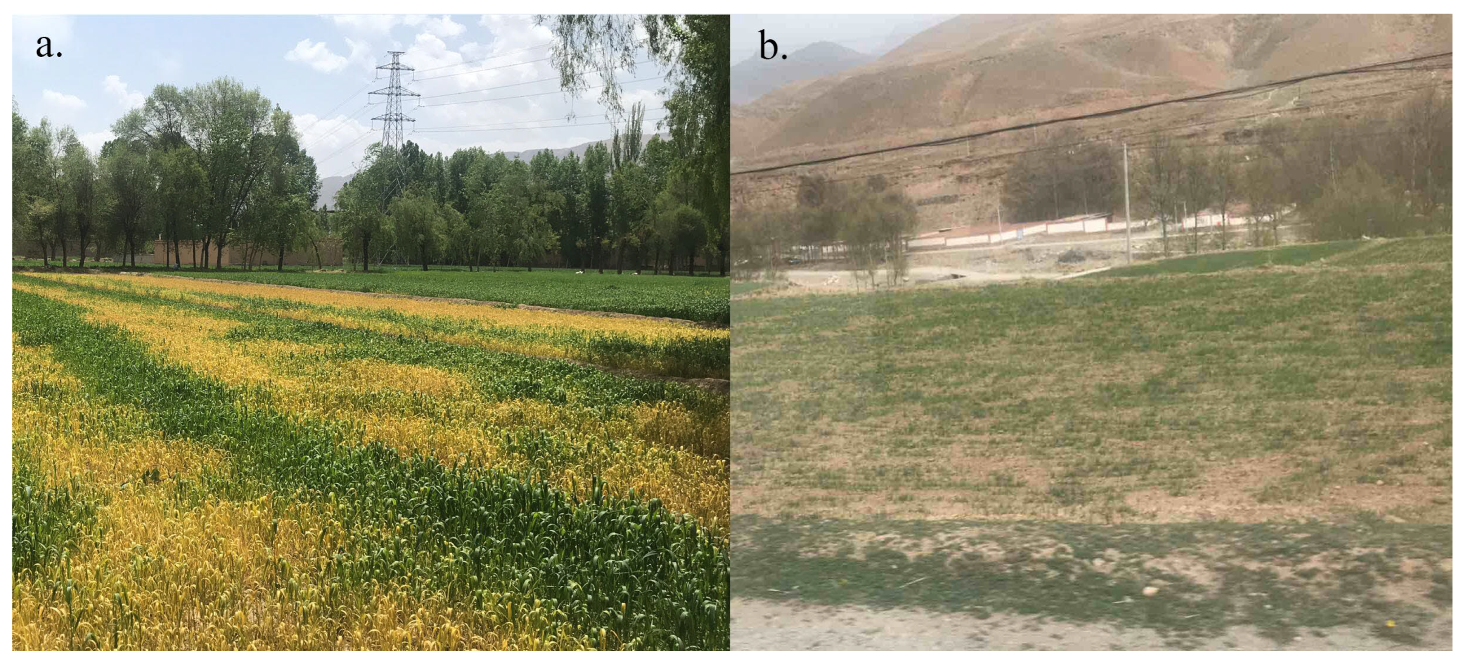 Remotesensing 15 00028 g013 Remotesensing 15 00028 g013