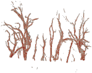 Remotesensing 15 00172 i022