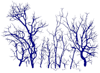 Remotesensing 15 00172 i023