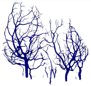 Remotesensing 15 00172 i055