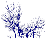 Remotesensing 15 00172 i060