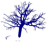 Remotesensing 15 00172 i075