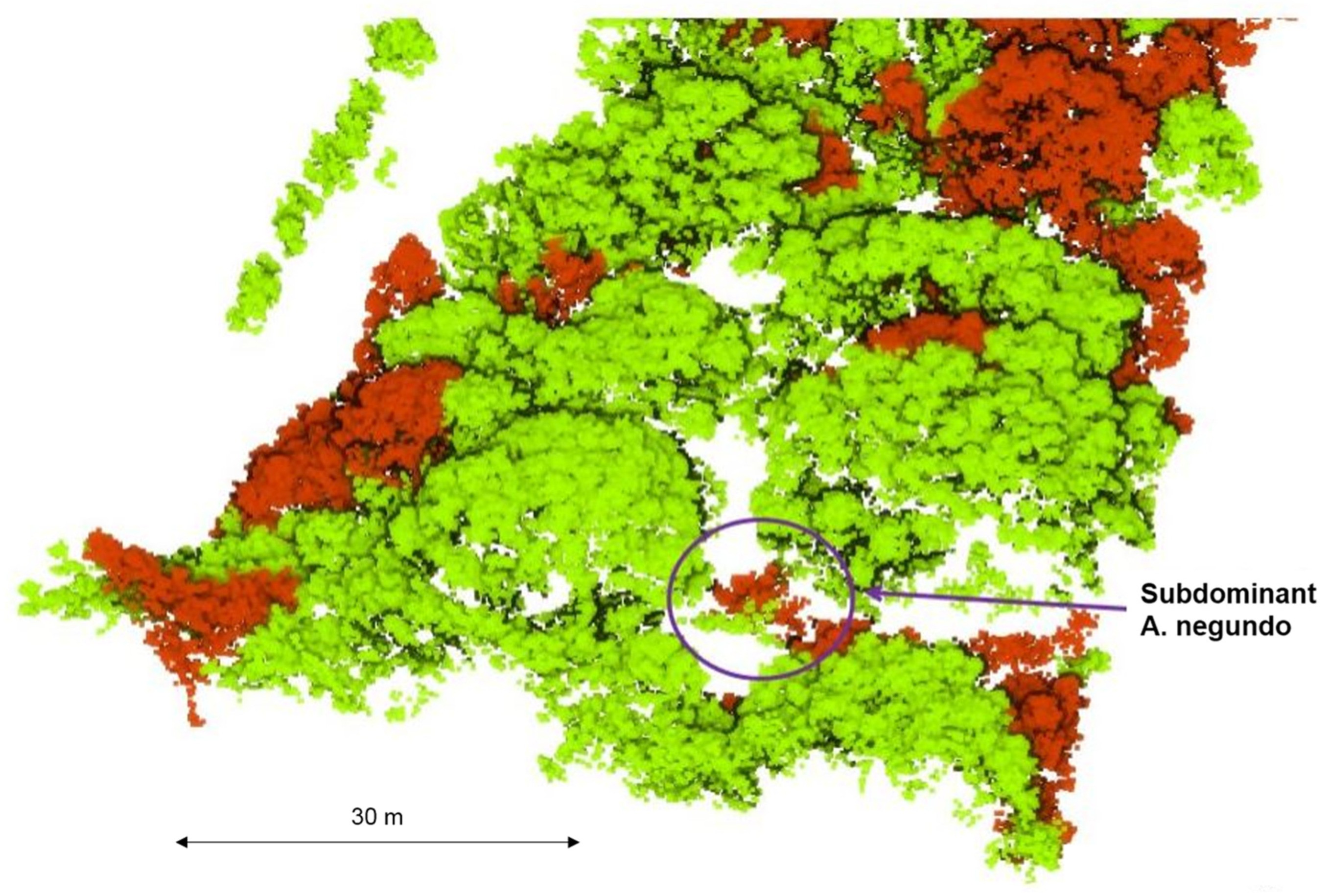 Remotesensing 15 00212 g009