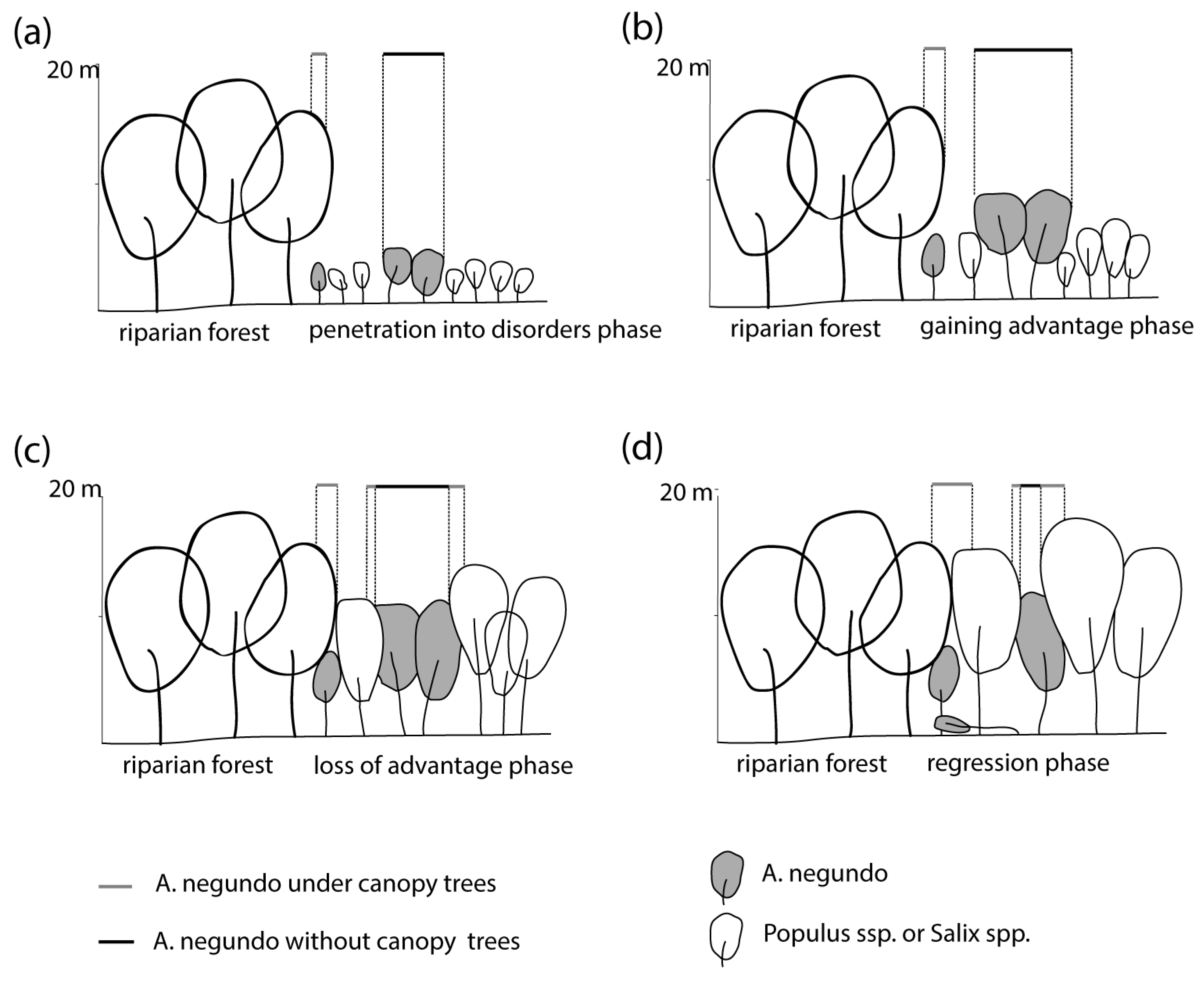 Remotesensing 15 00212 g010