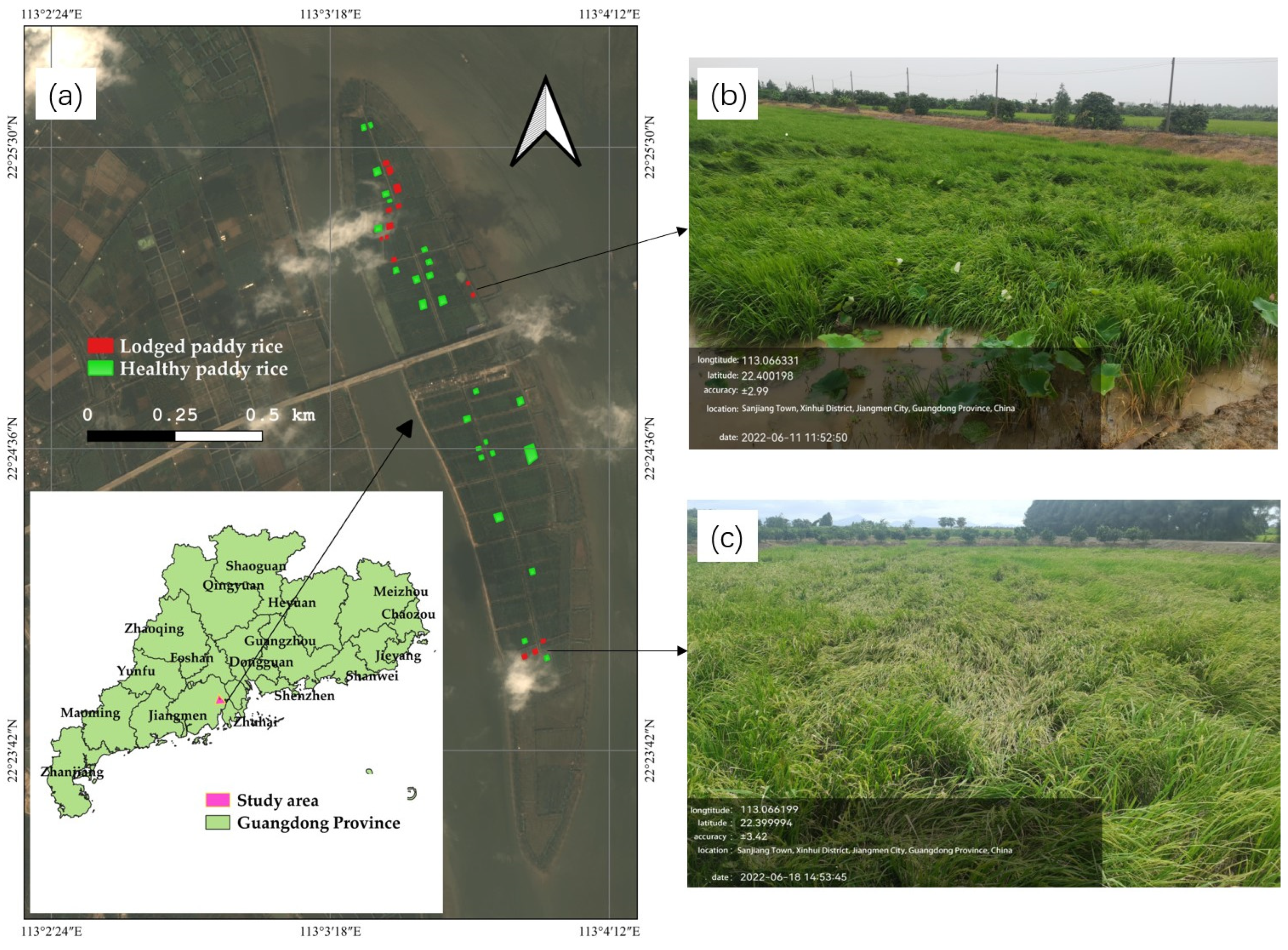 Remotesensing 15 00240 g001 Remotesensing 15 00240 g001