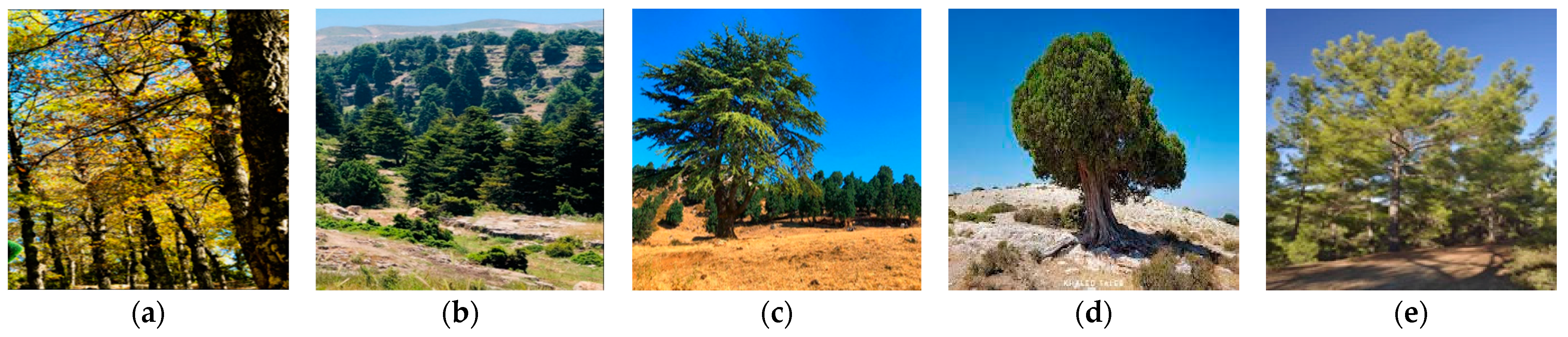 Remotesensing 15 00272 g002 Remotesensing 15 00272 g002