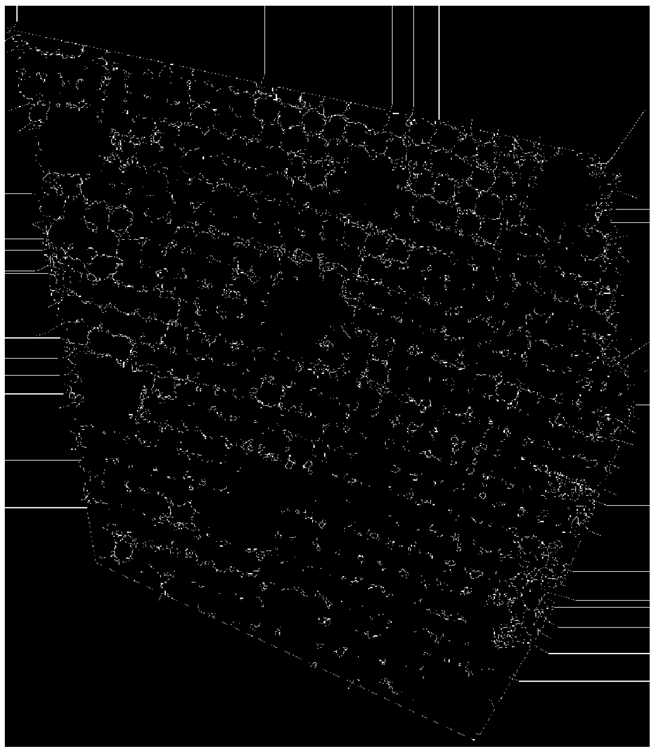 Remotesensing 15 00282 g010