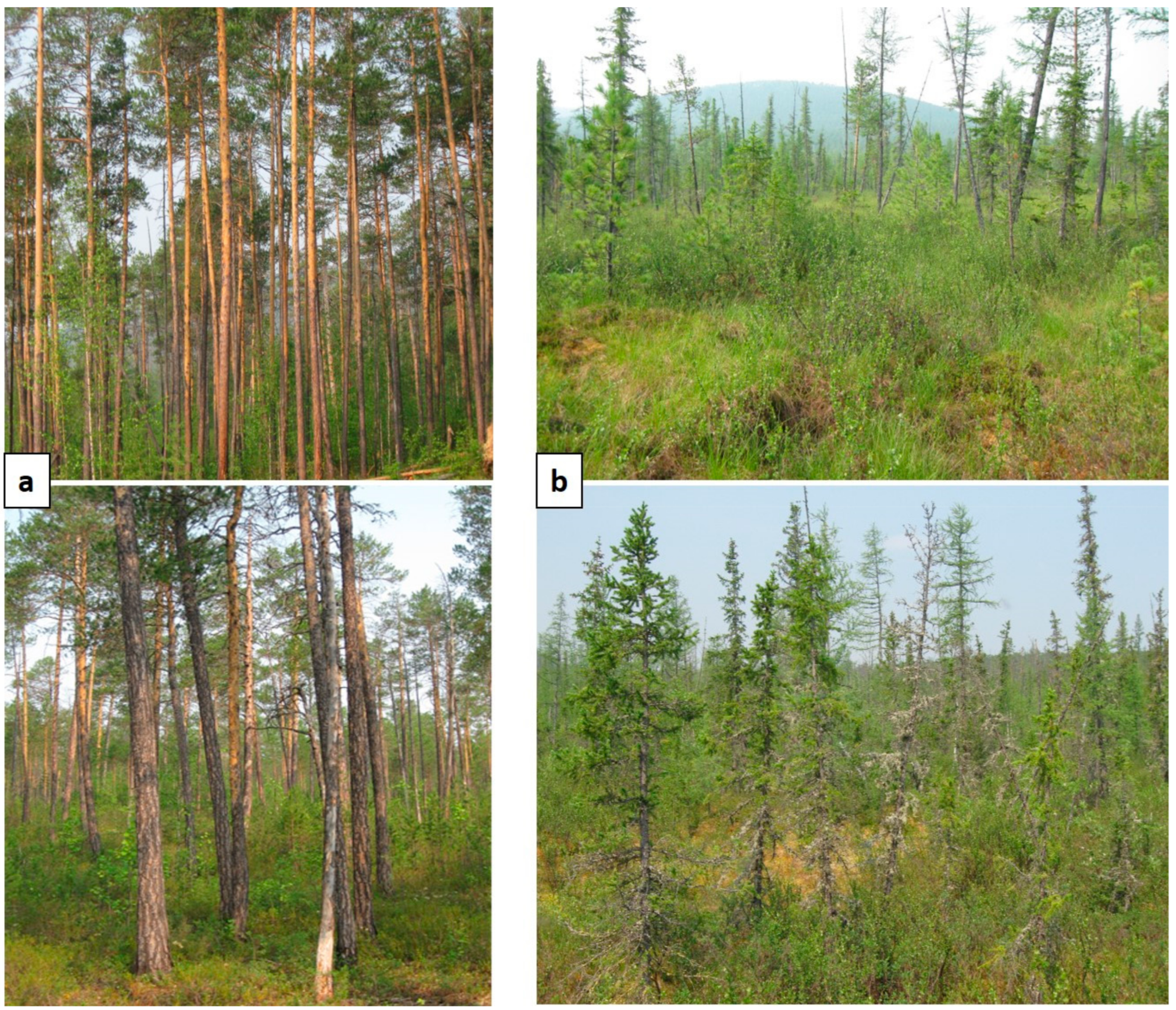 Remotesensing 15 00291 g006