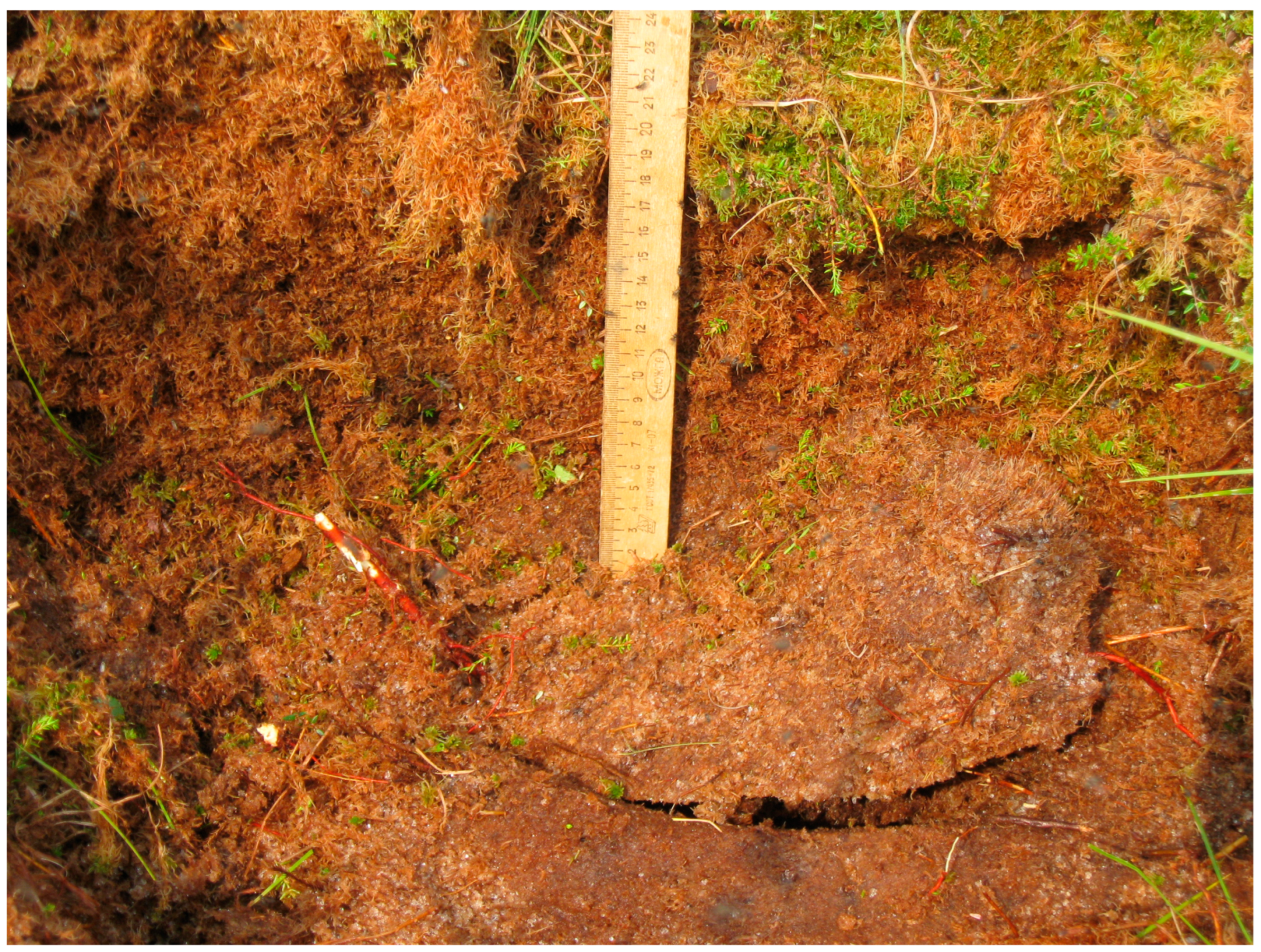 Remotesensing 15 00291 g008