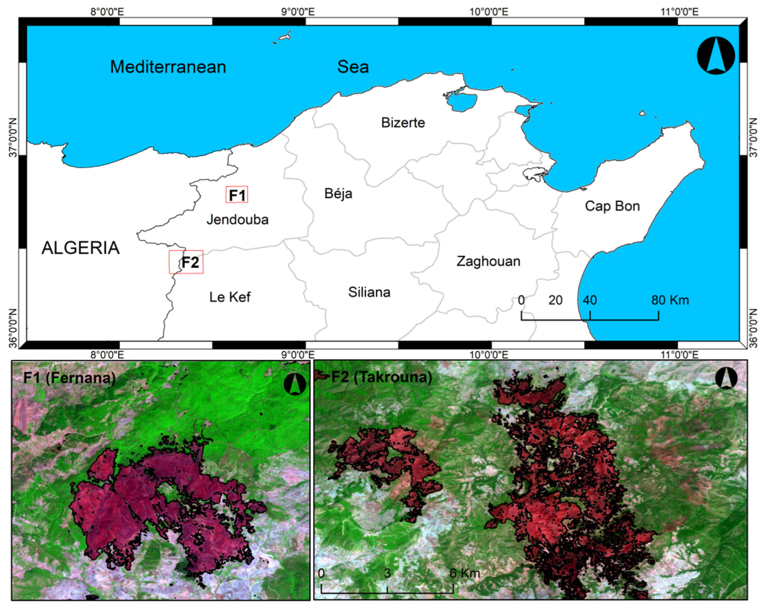 Remotesensing 15 00335 g001 Remotesensing 15 00335 g001