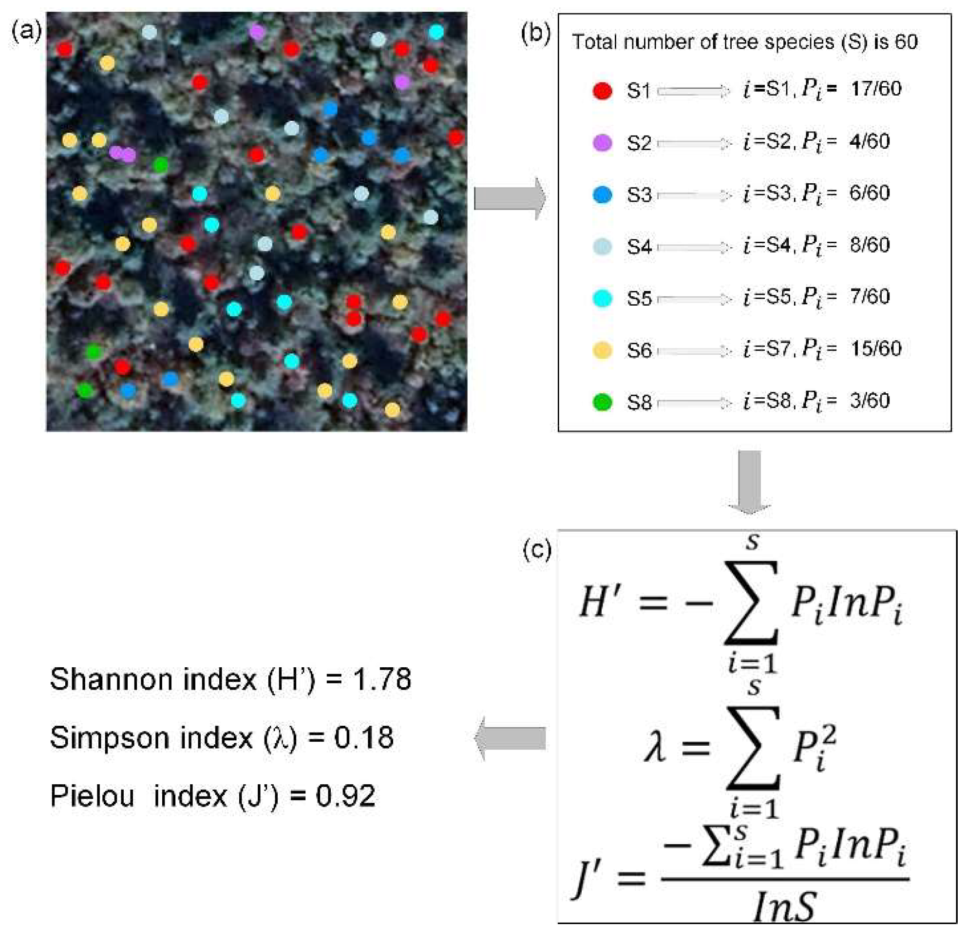 Remotesensing 15 00375 g0a2 Remotesensing 15 00375 g0a2