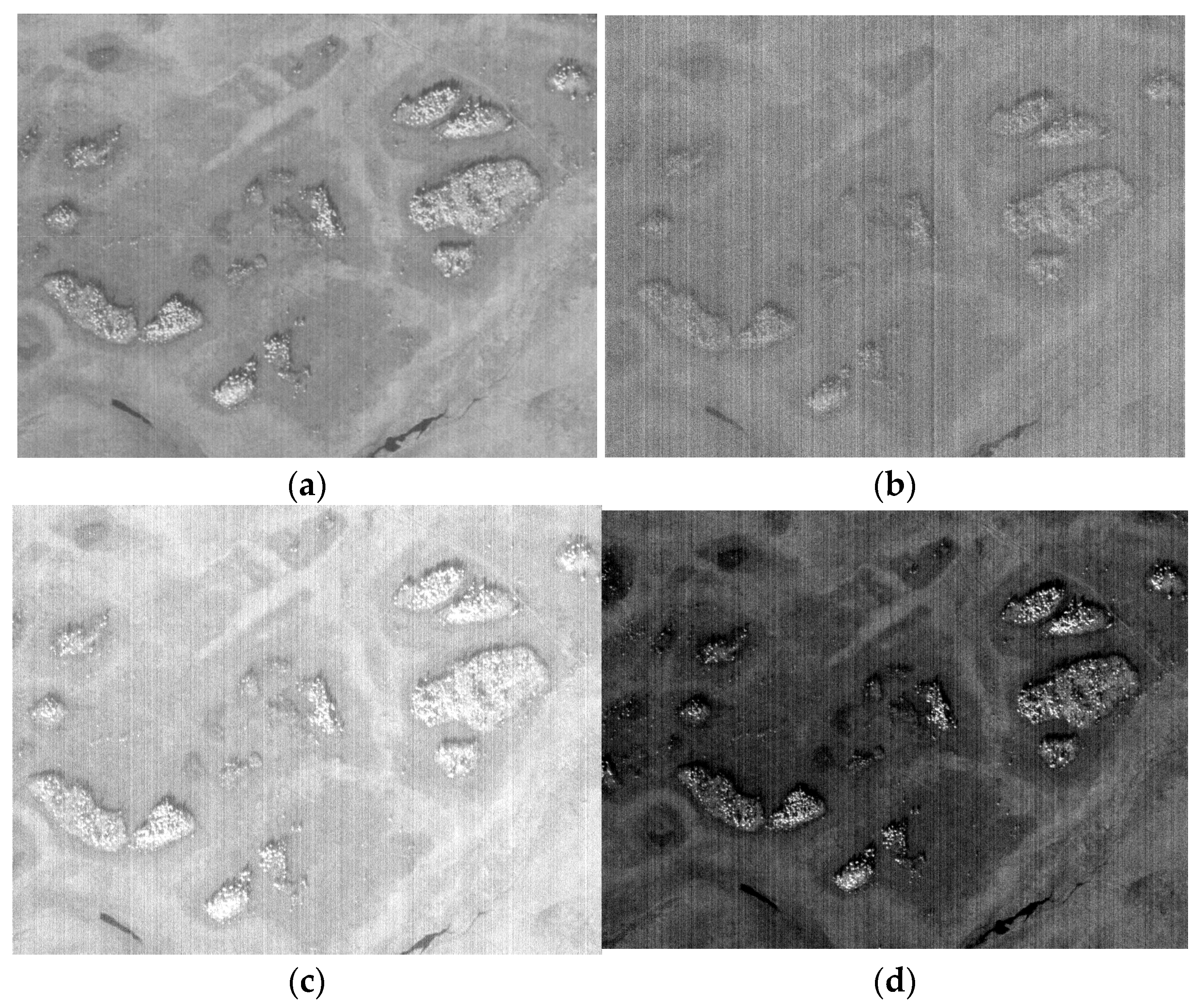 Remotesensing 15 00377 g010