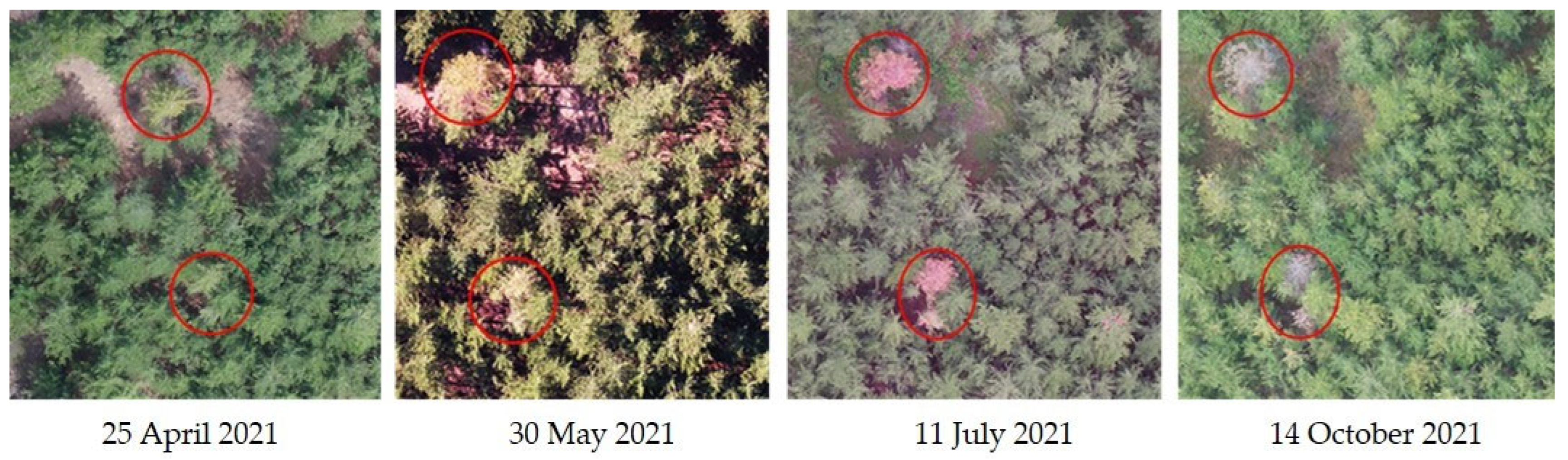 Remotesensing 15 00407 g001 Remotesensing 15 00407 g001