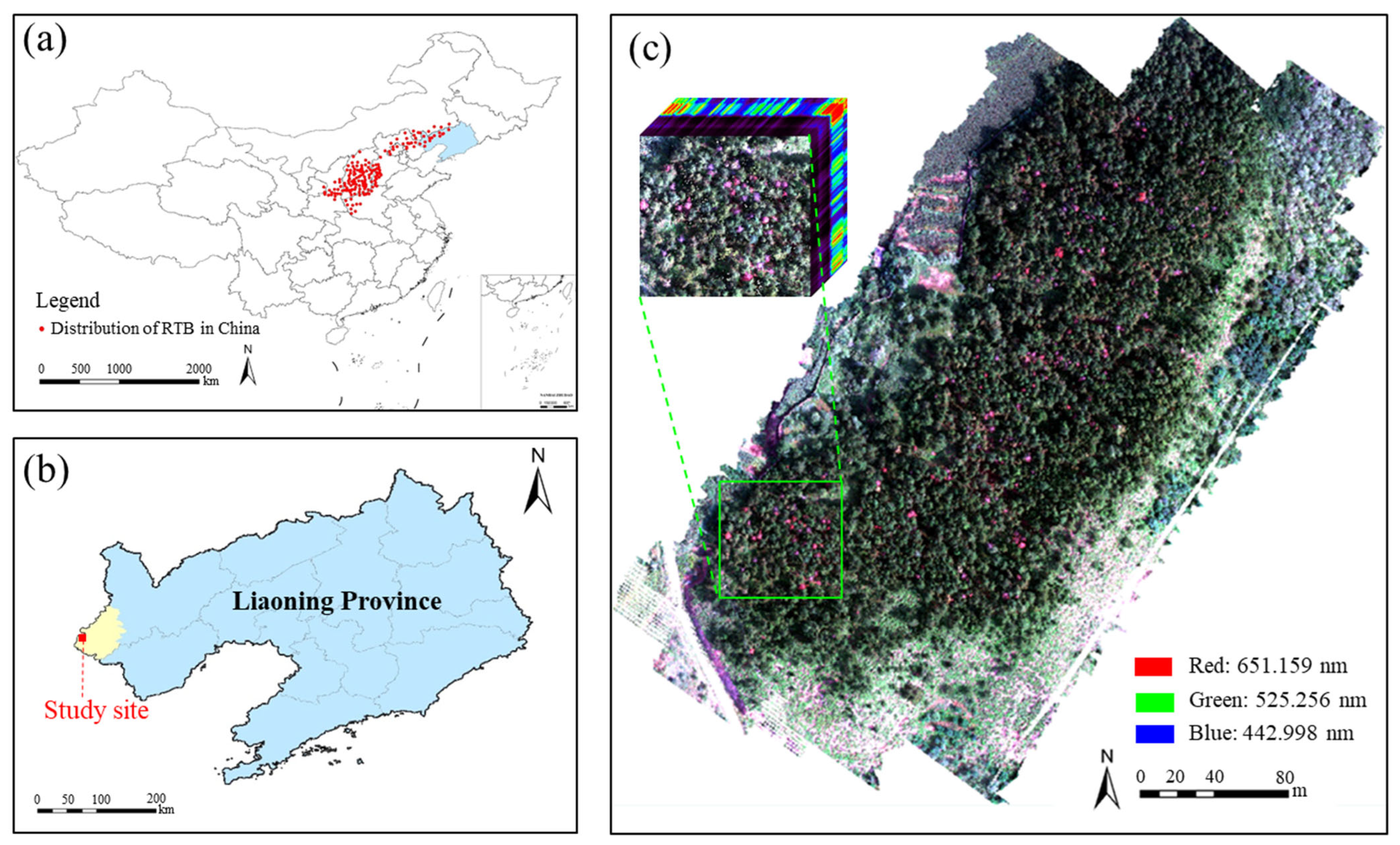 Remotesensing 15 00407 g002 Remotesensing 15 00407 g002